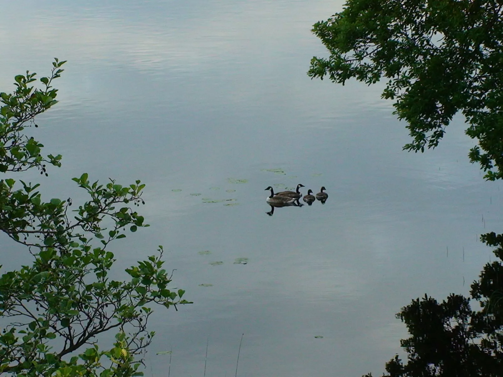 "Évika 1" mit Sauna-Outside