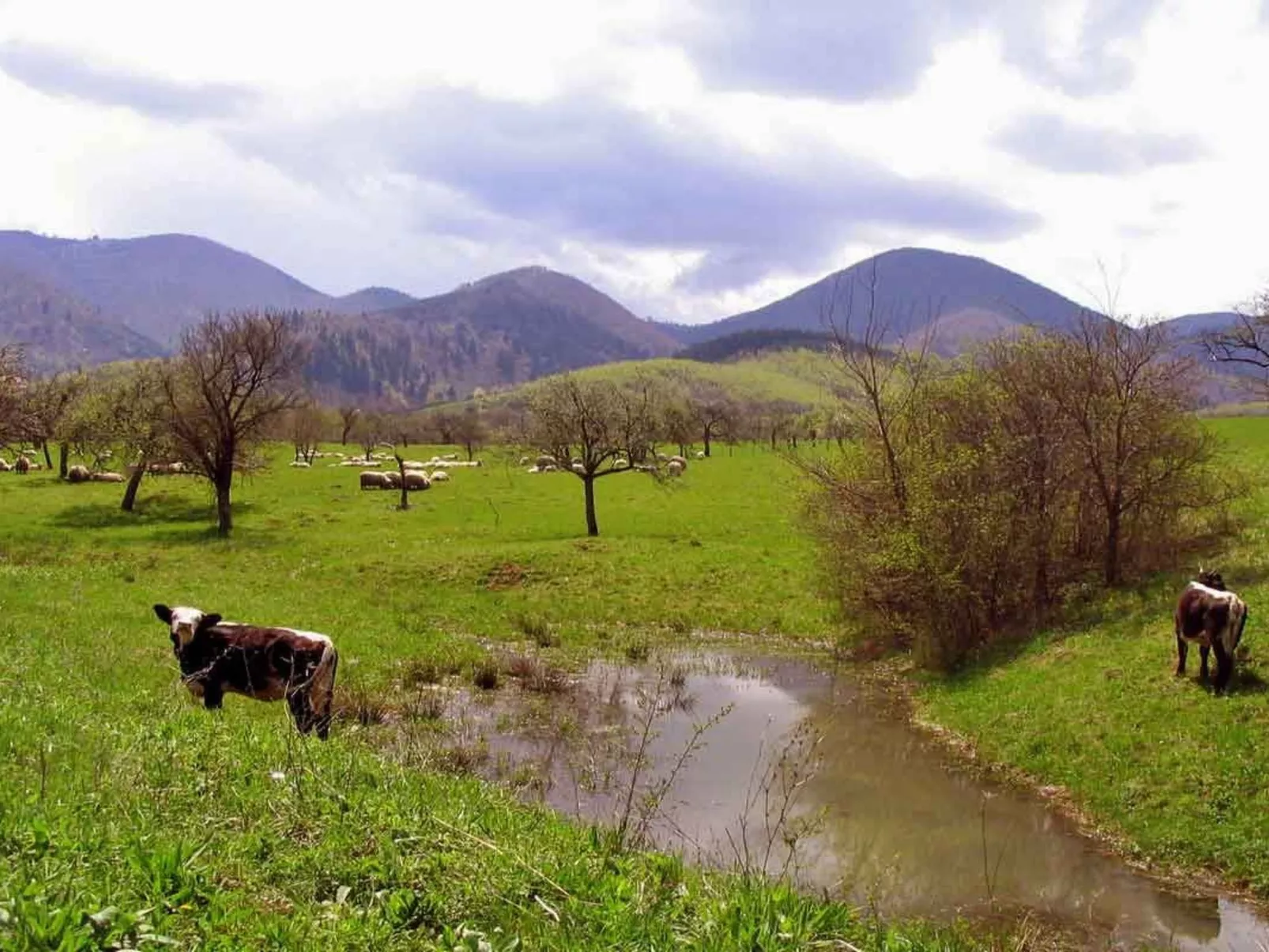Casa Nicu - traditionelles Landhaus in Hirtendorf-Draußen