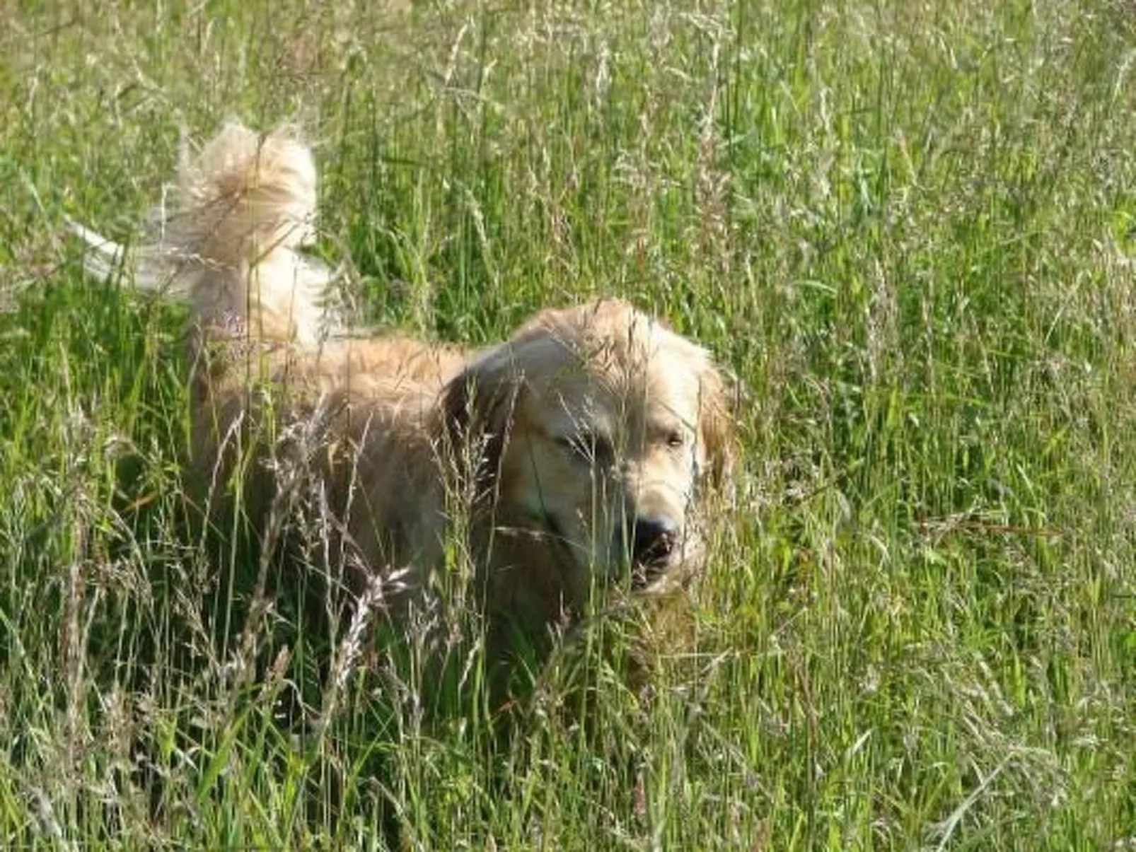 In Winnemark mit Großem Garten-Dehors