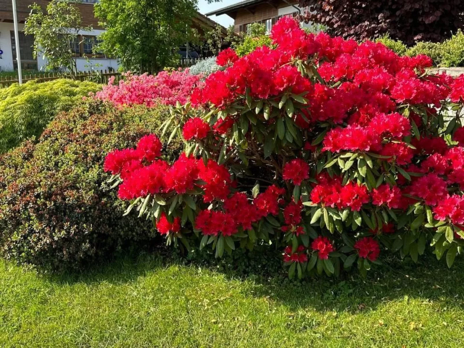 Sunneggli ****-Dedans