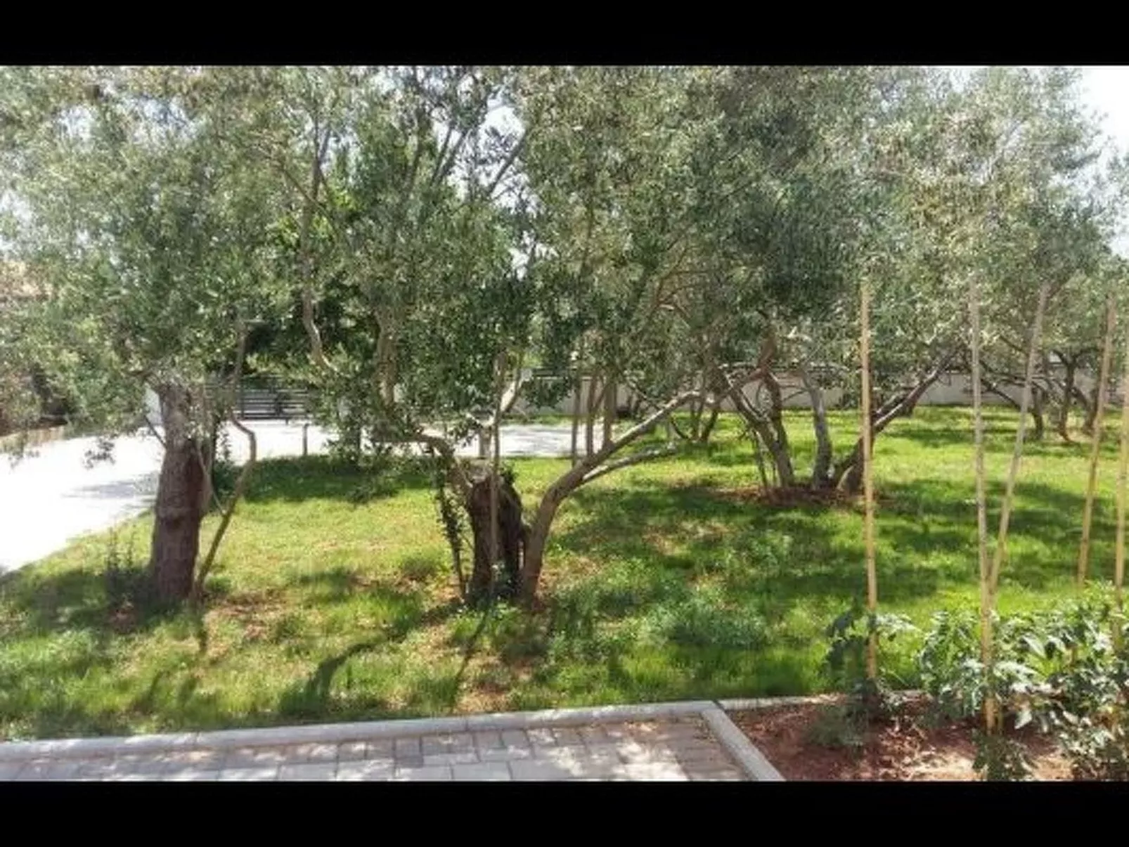 Charmante Hütte mit Grill und Garten-Dedans