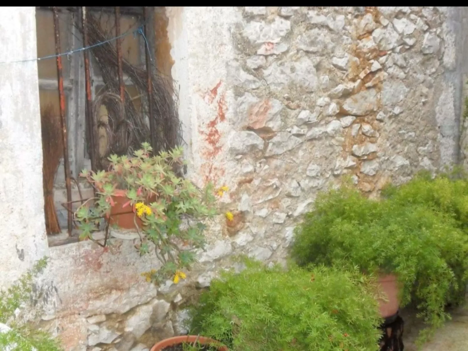 Gemütliche Ferienwohnung im Erdgeschoss - Outside