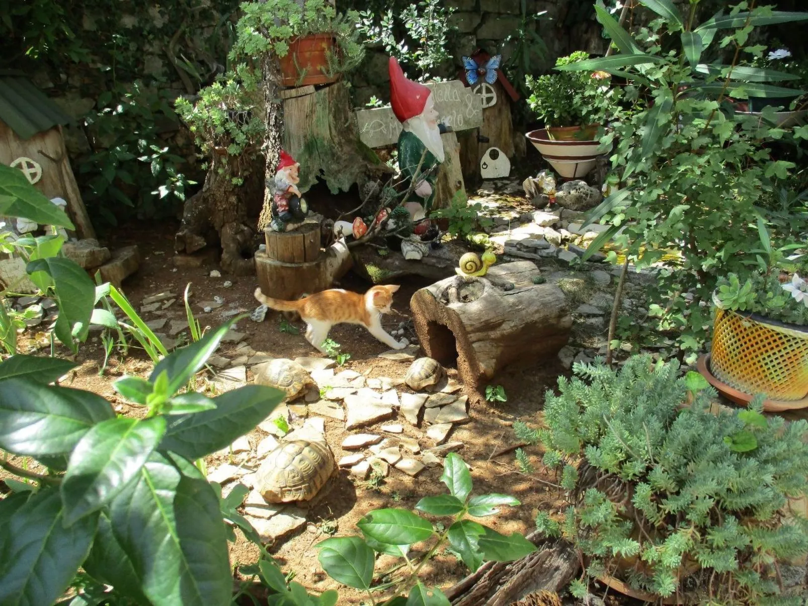 Mit Balkon und Terrasse-Inside