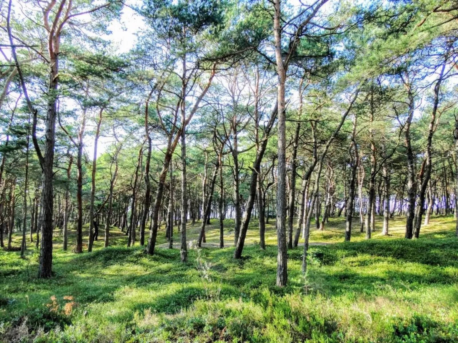 "Appartement 2"-Inside