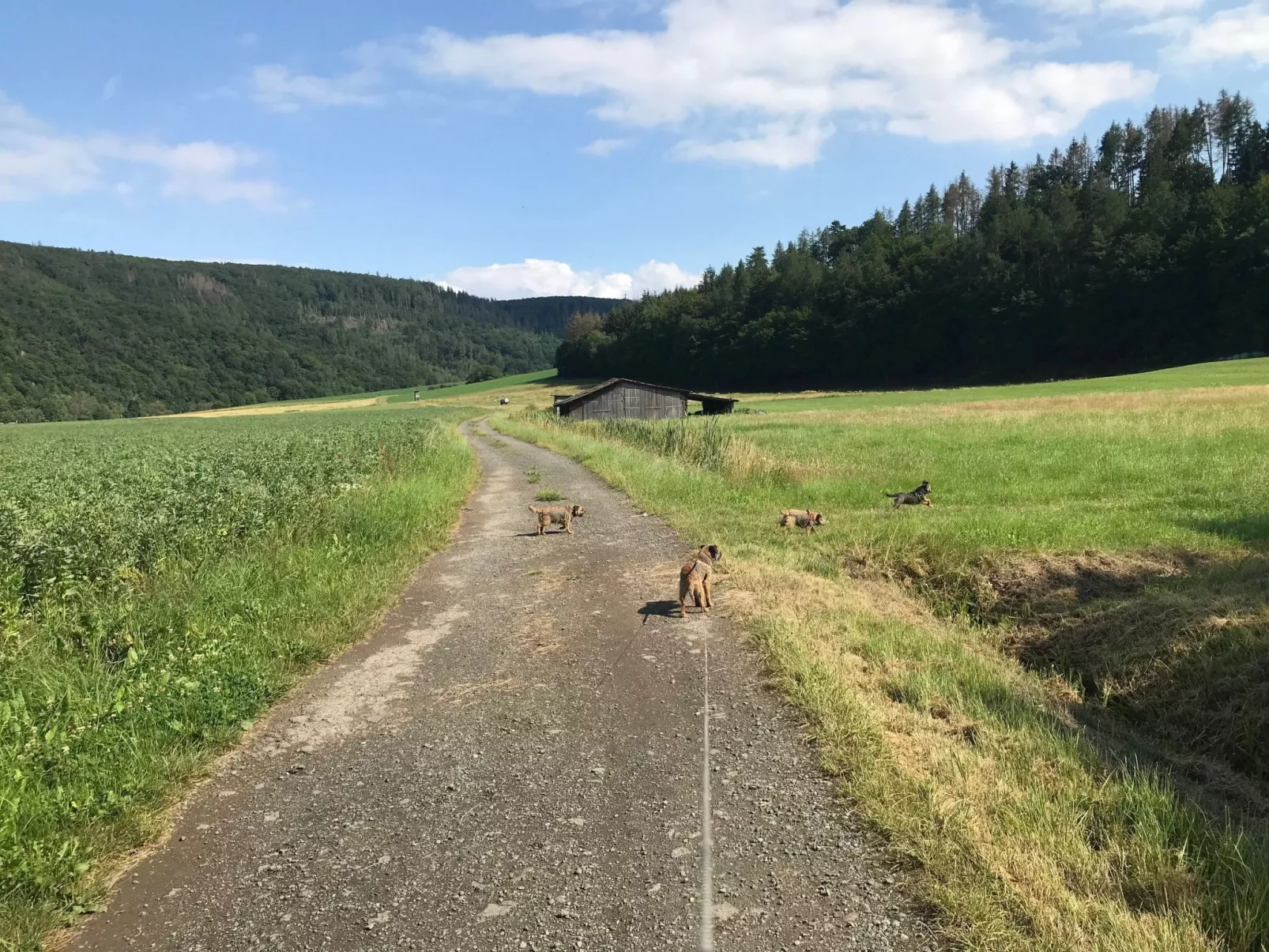 Kellerwald-Image-tags.info