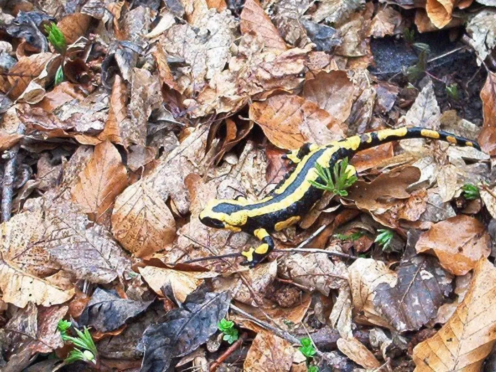 Fewo Stricker 21-Outside