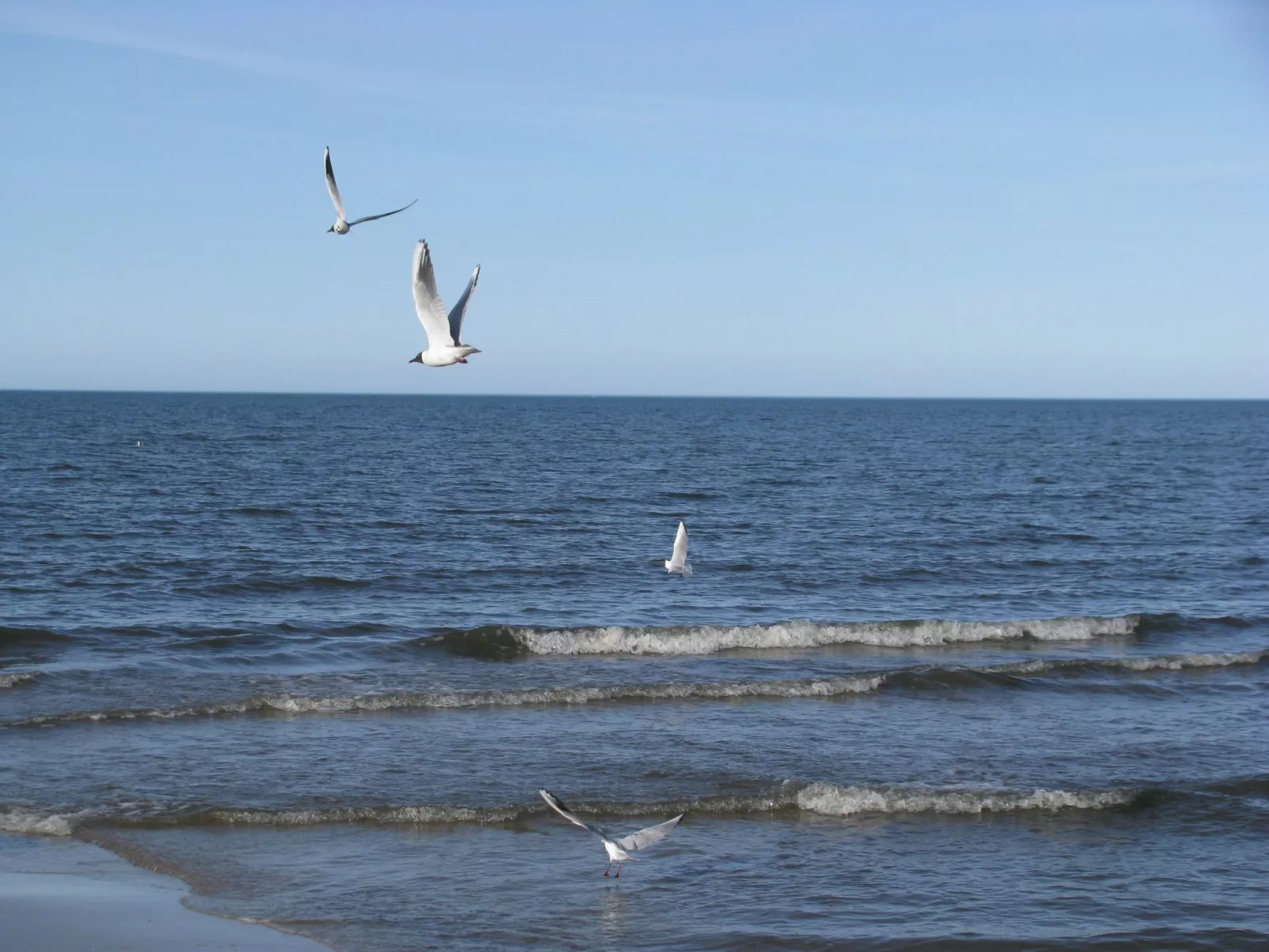 Wunderschönes Ferienhaus in Zinnowitz-Inside