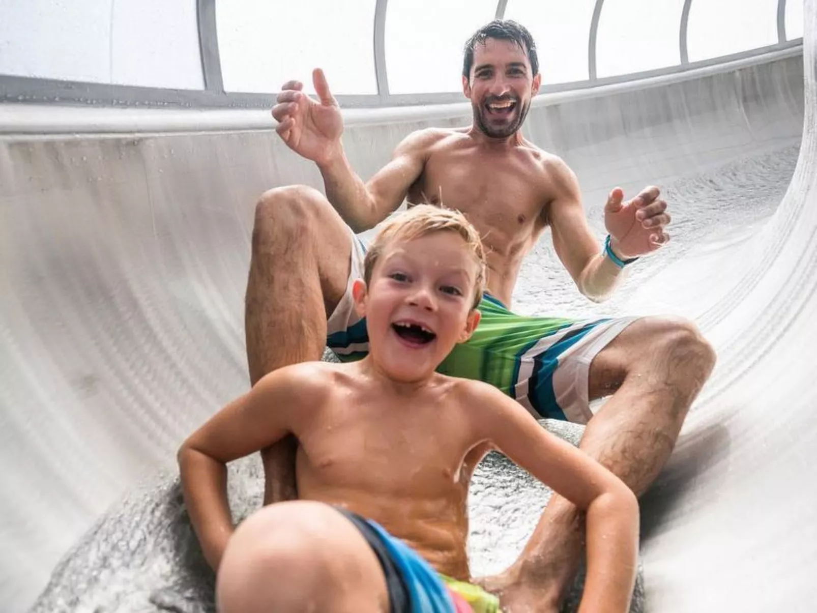 Schwalbennest-Image-tags.info