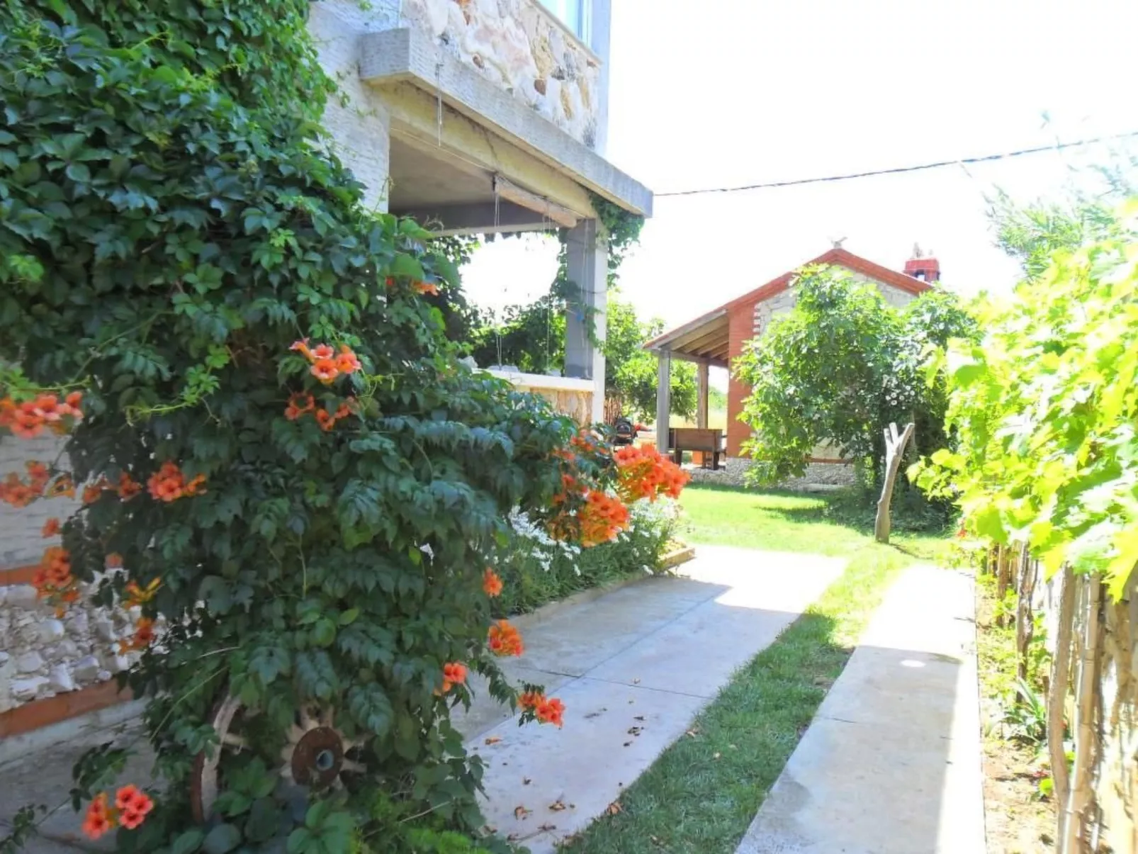 Wohnung Delfin mit Meerblick - TA Leut Agency-Dehors