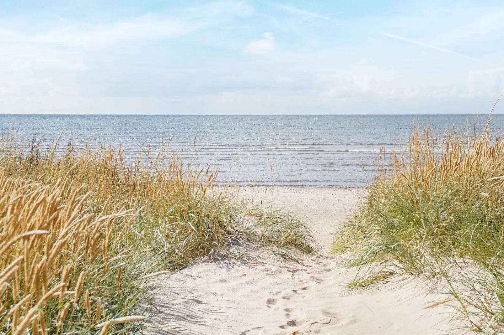5 person holiday home in FALKENBERG-By Traum-Not tagged