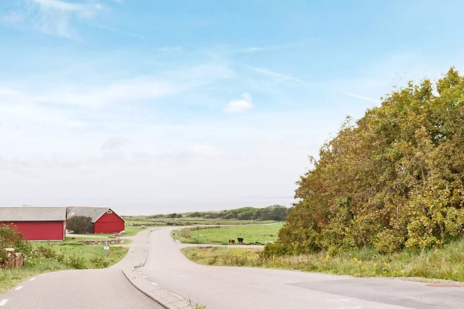5 person holiday home in FALKENBERG-By Traum-Not tagged