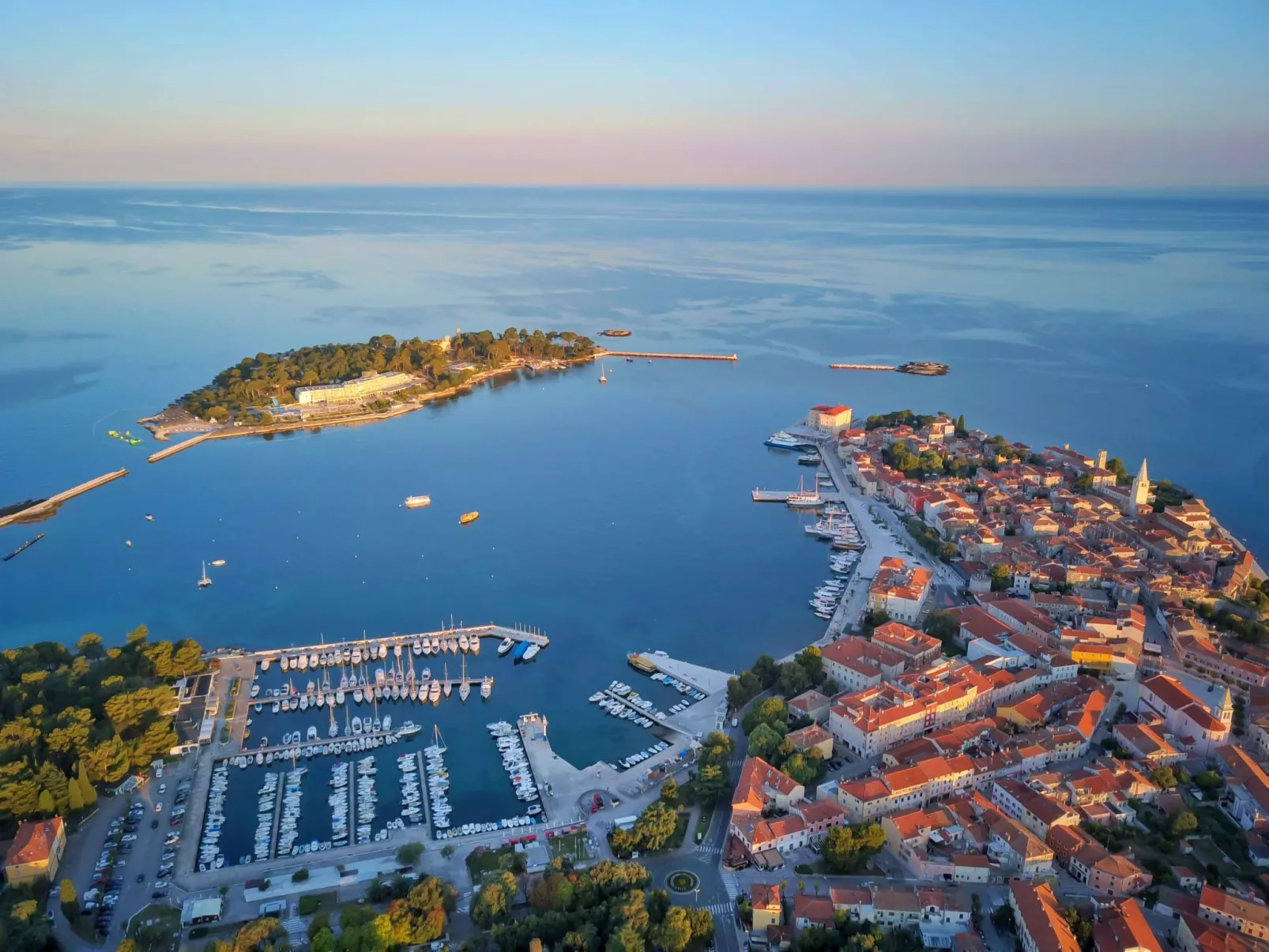 Oleandar-Image-tags.info