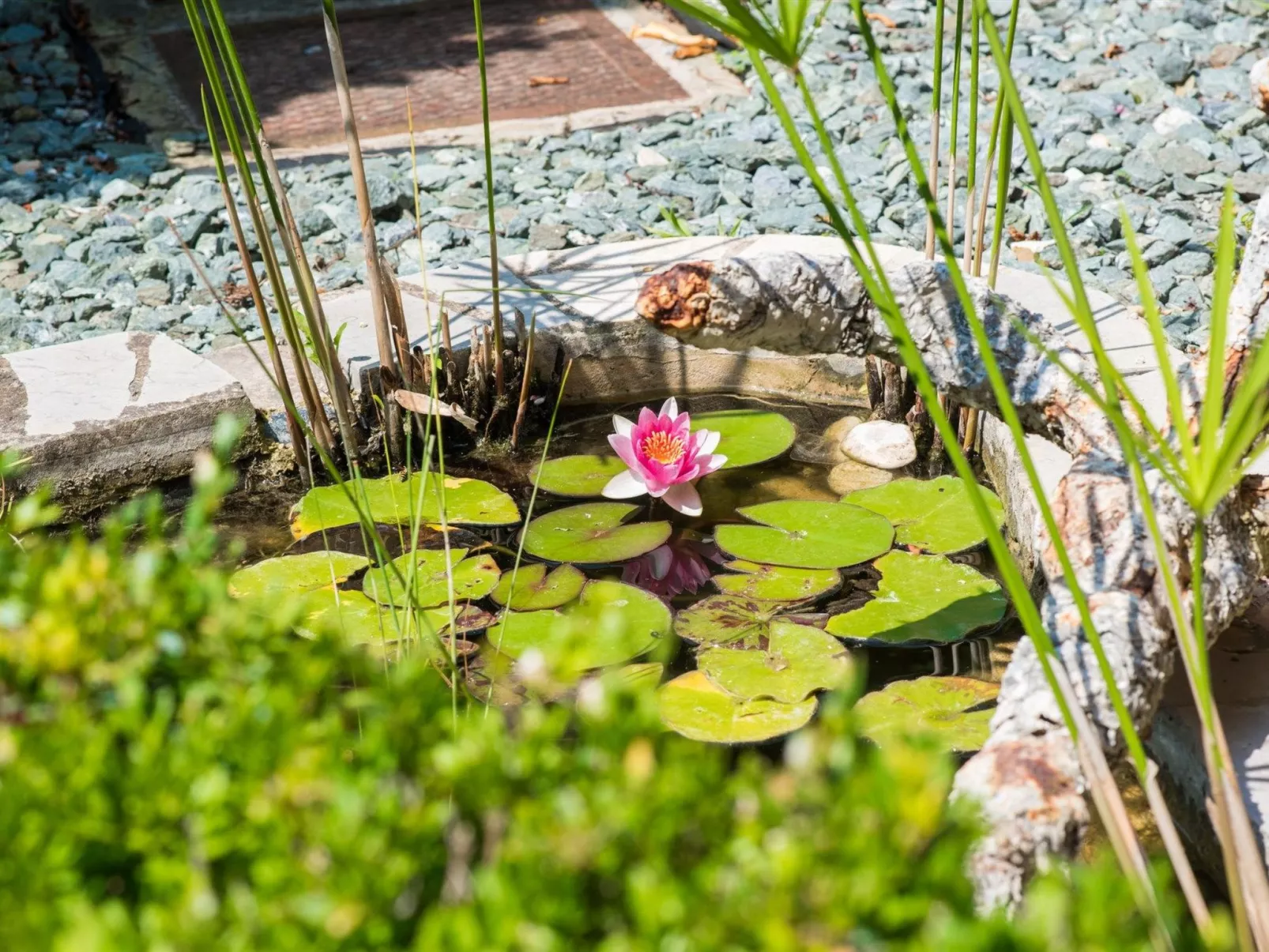 Elegantes Familienappartement mit privatem Pool-Dehors