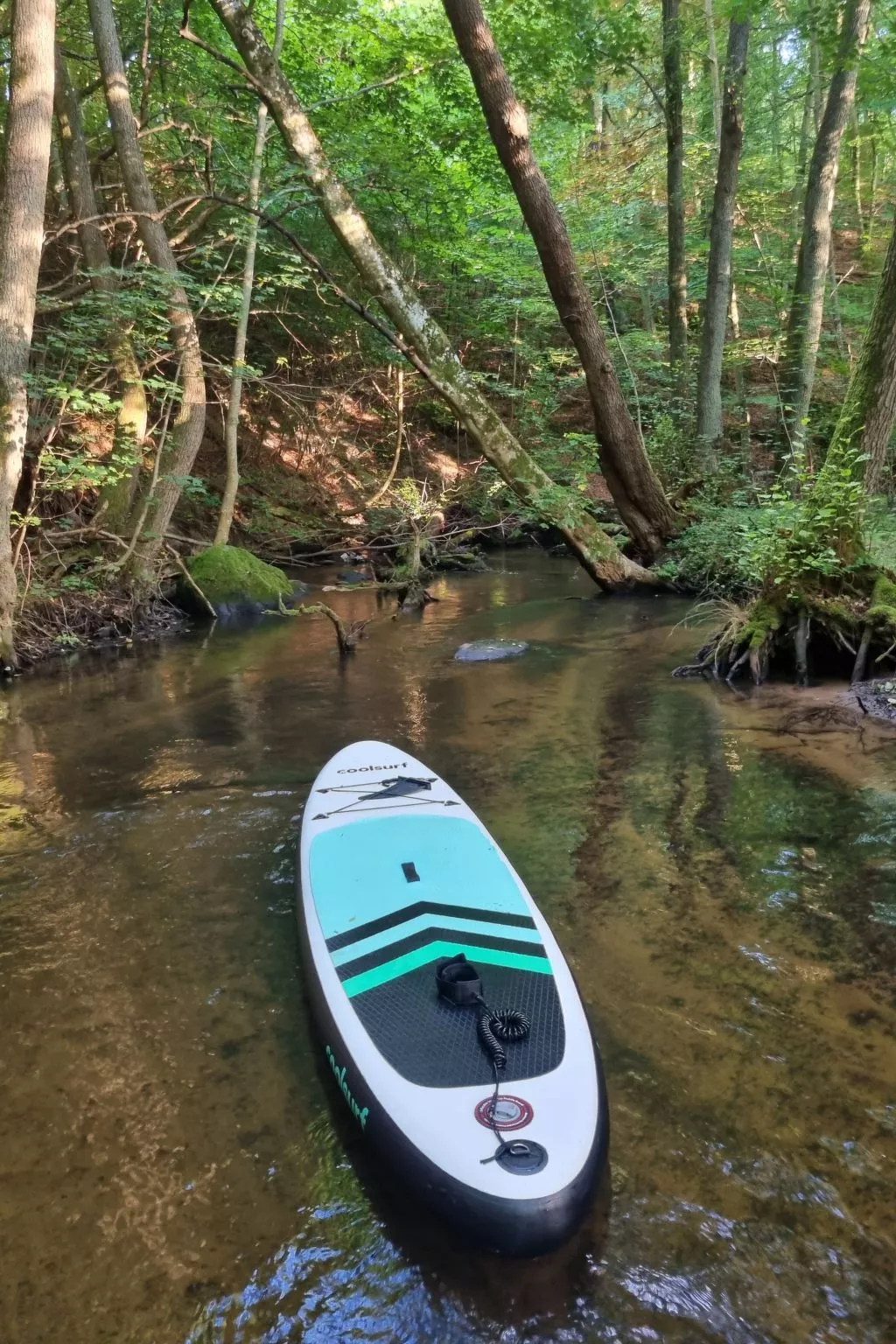 Lublewo21 Ferienhäuser - Draußen