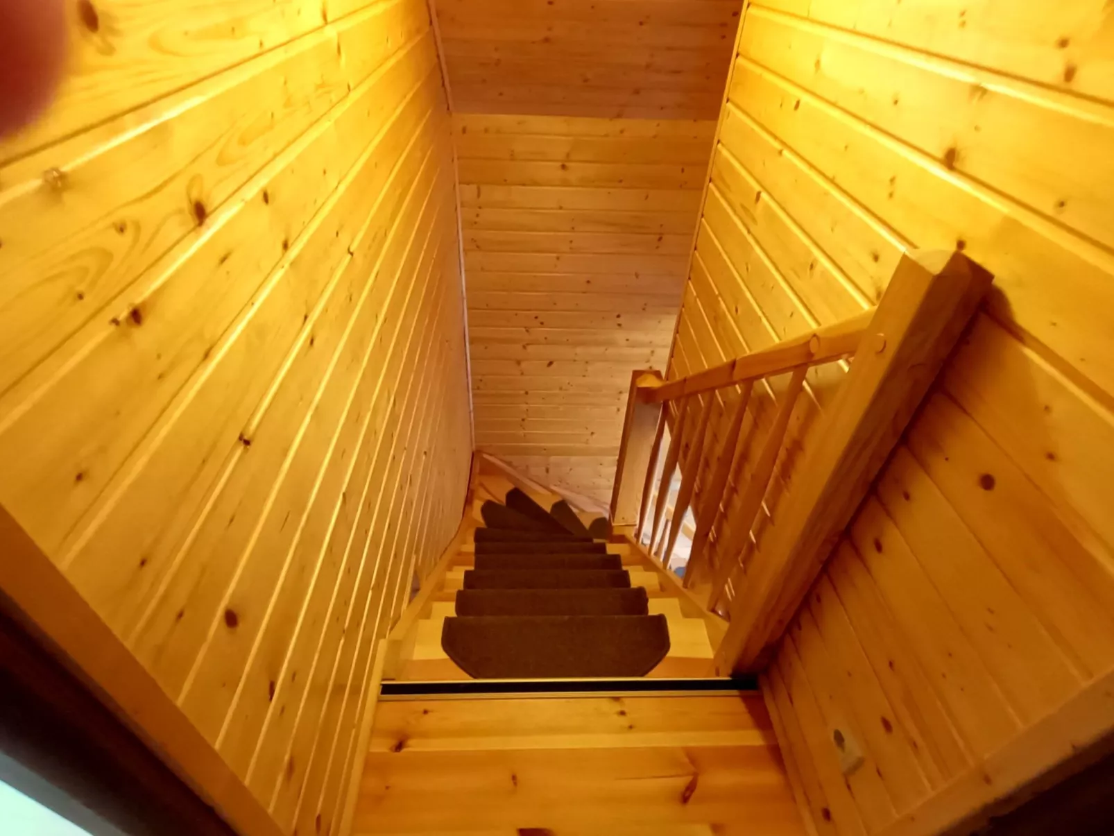 "Paradise Star Bobolin"-Inside