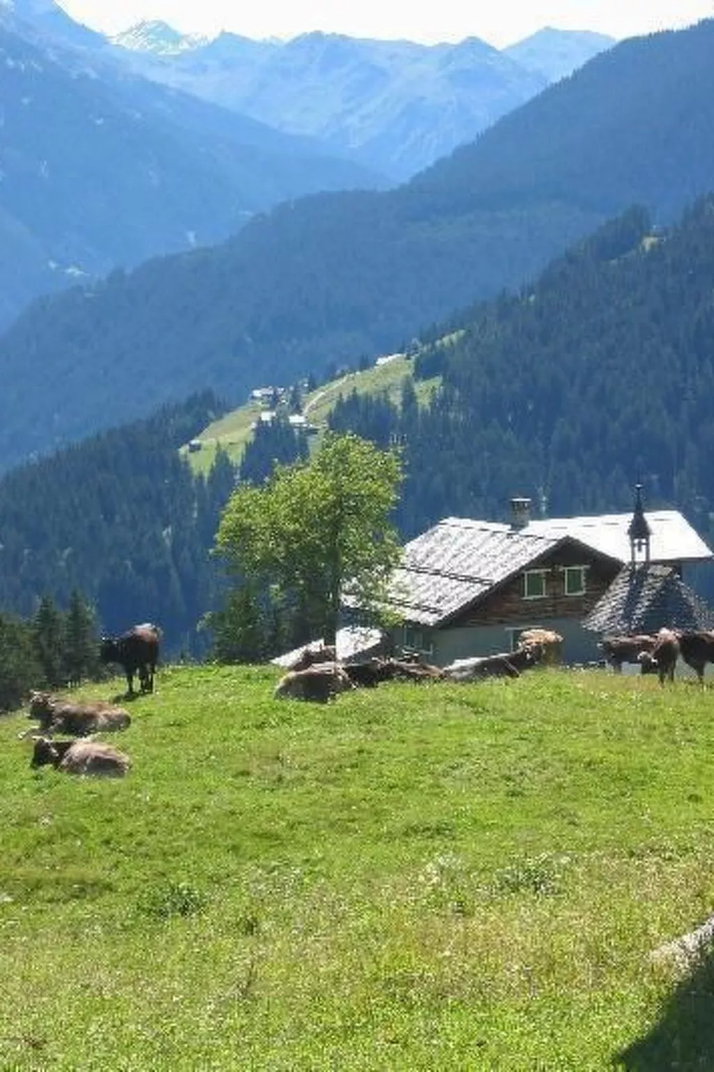 Berghaus Maisäss Matschwitz-Image-tags.info