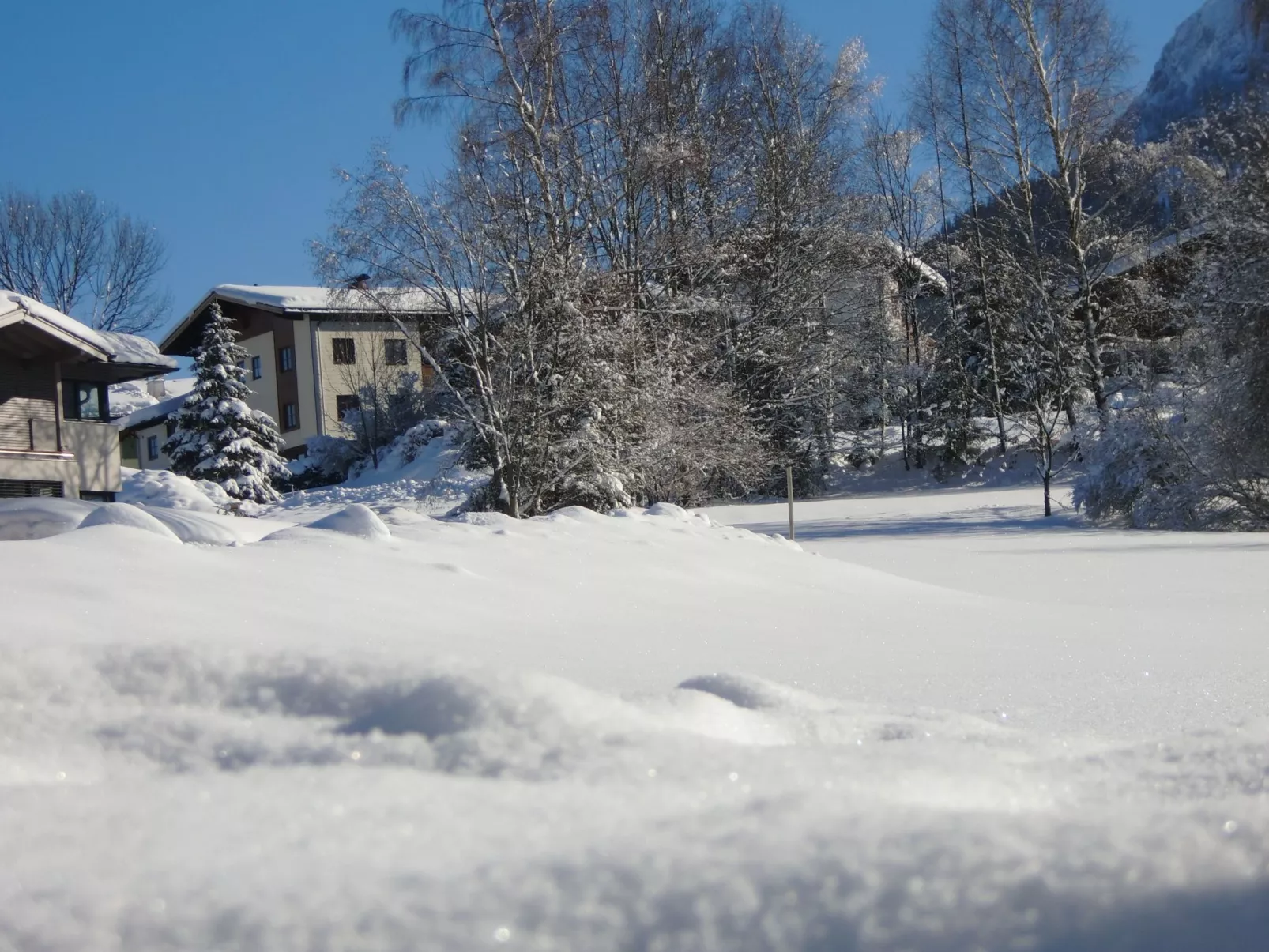 Apartment Bergblick-Image-tags.info