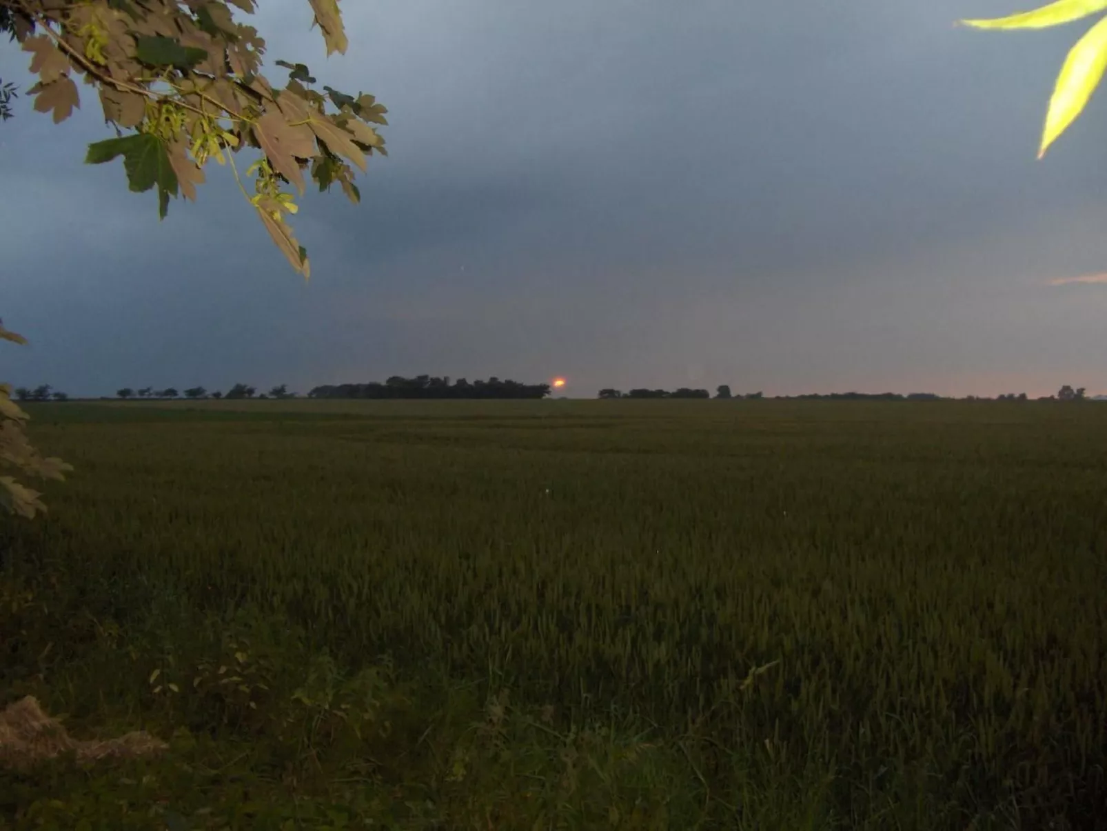 Fewo Skjærnsøde-Image-tags.info