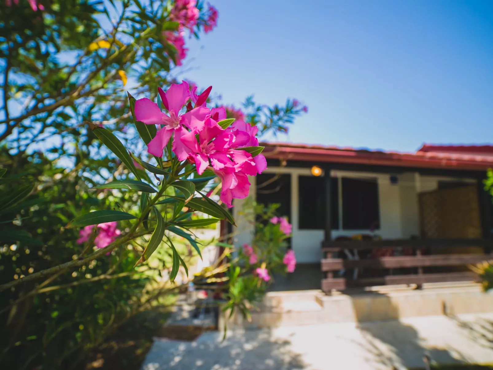Gelassenheit am Meer 2-Draußen