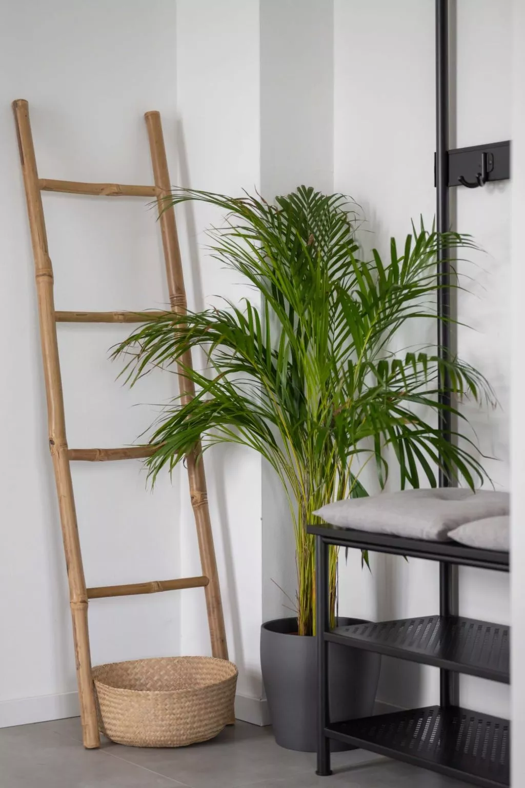 Villa Dream mit Pool nahe Labin-Inside