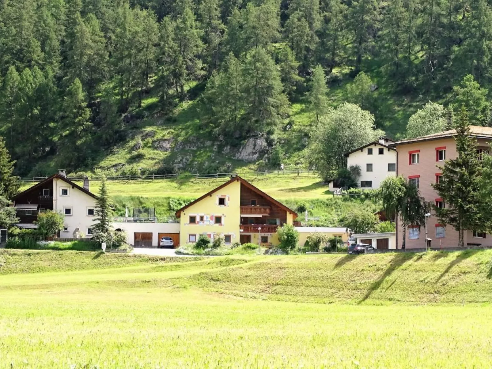 Ers Curtins-Image-tags.info