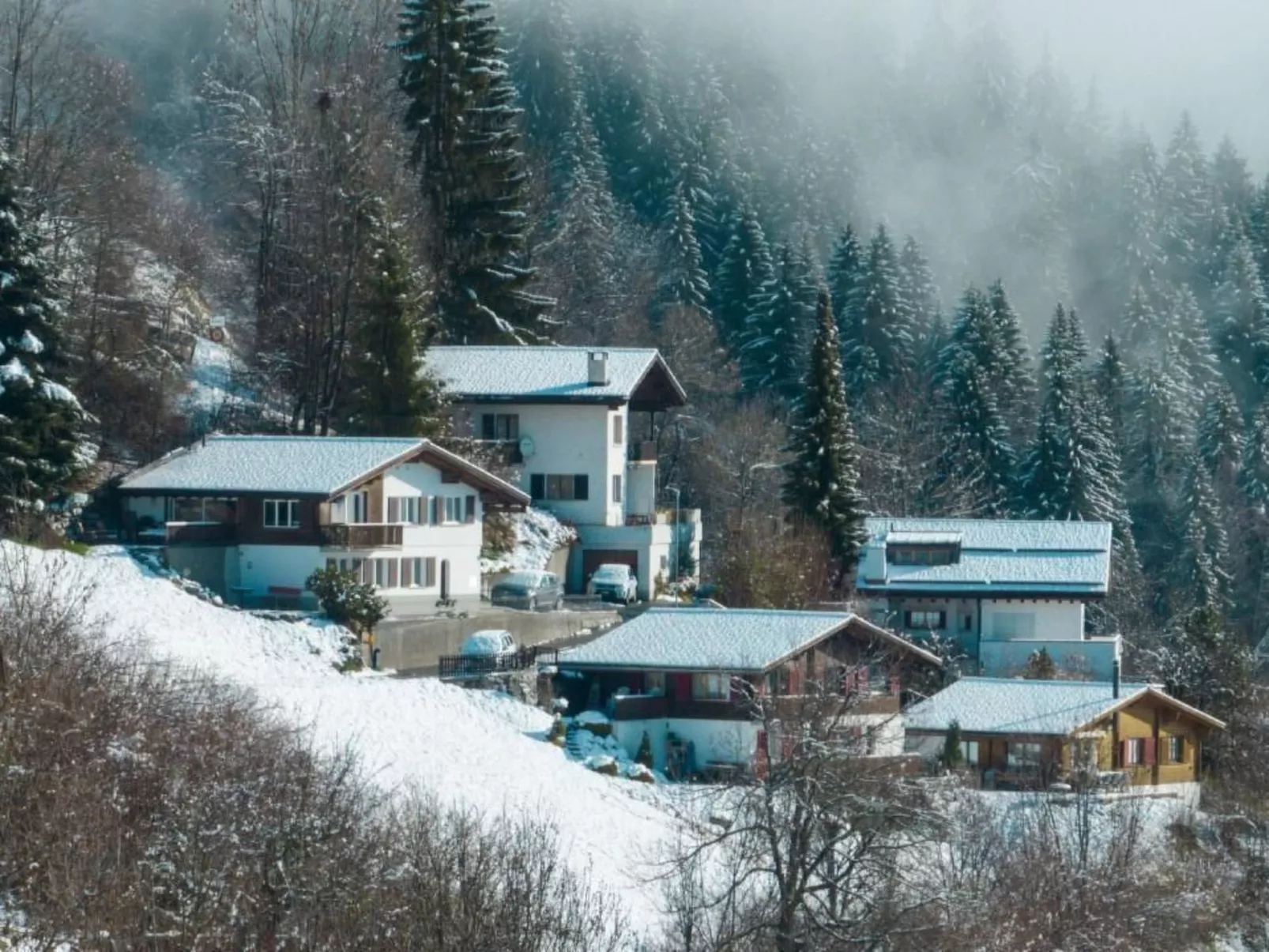 Casa Campanula-Inside