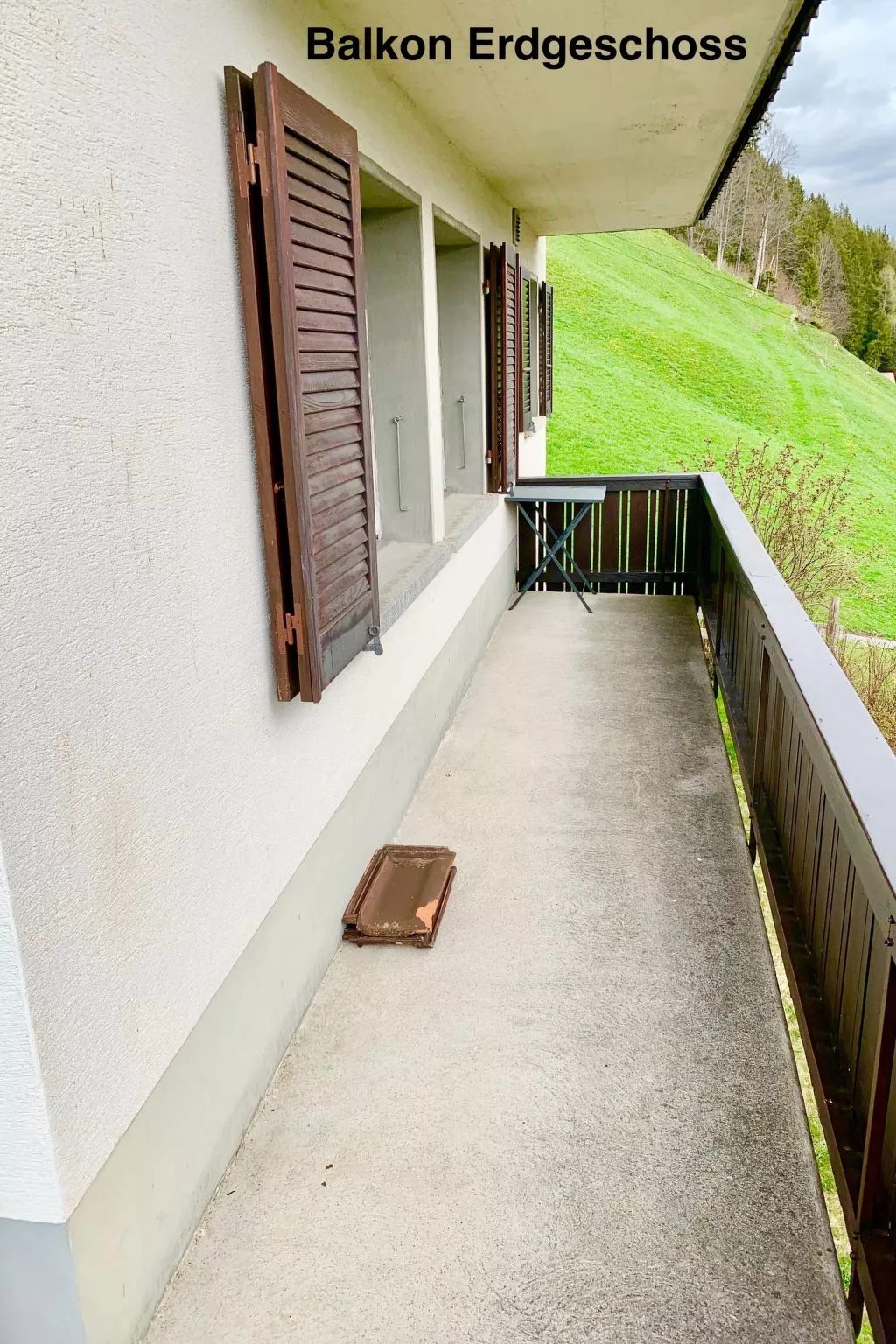 Panorama Adelboden-Dehors