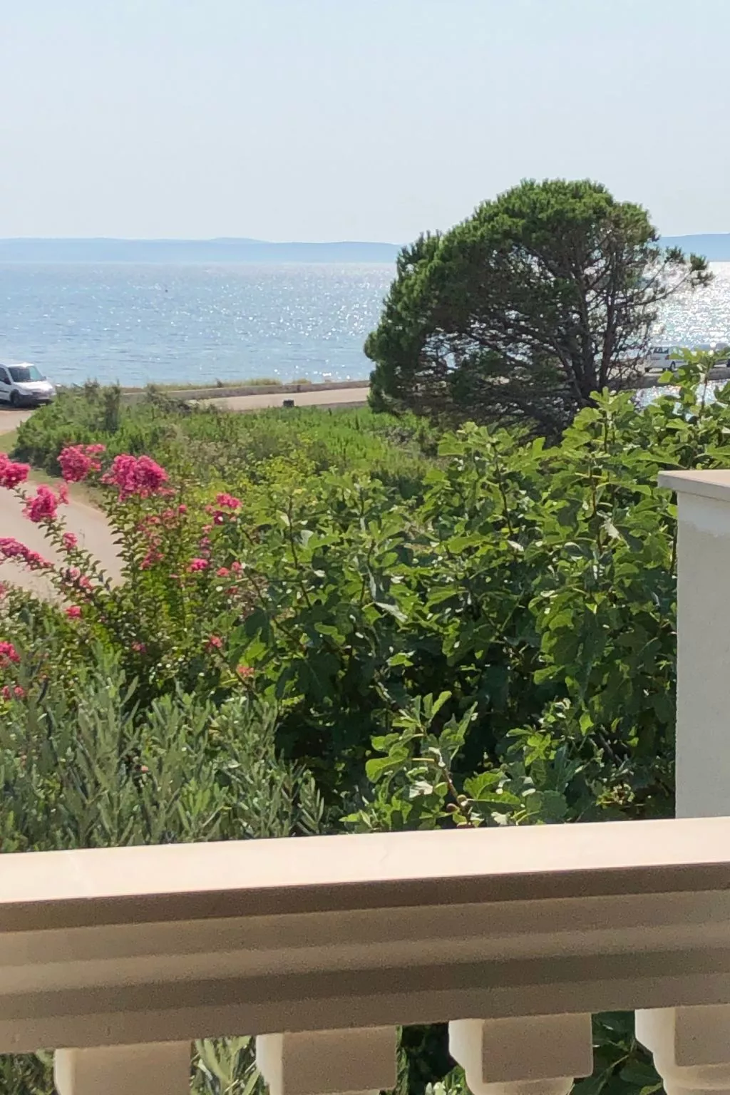 Villa Olive Grove-Dedans