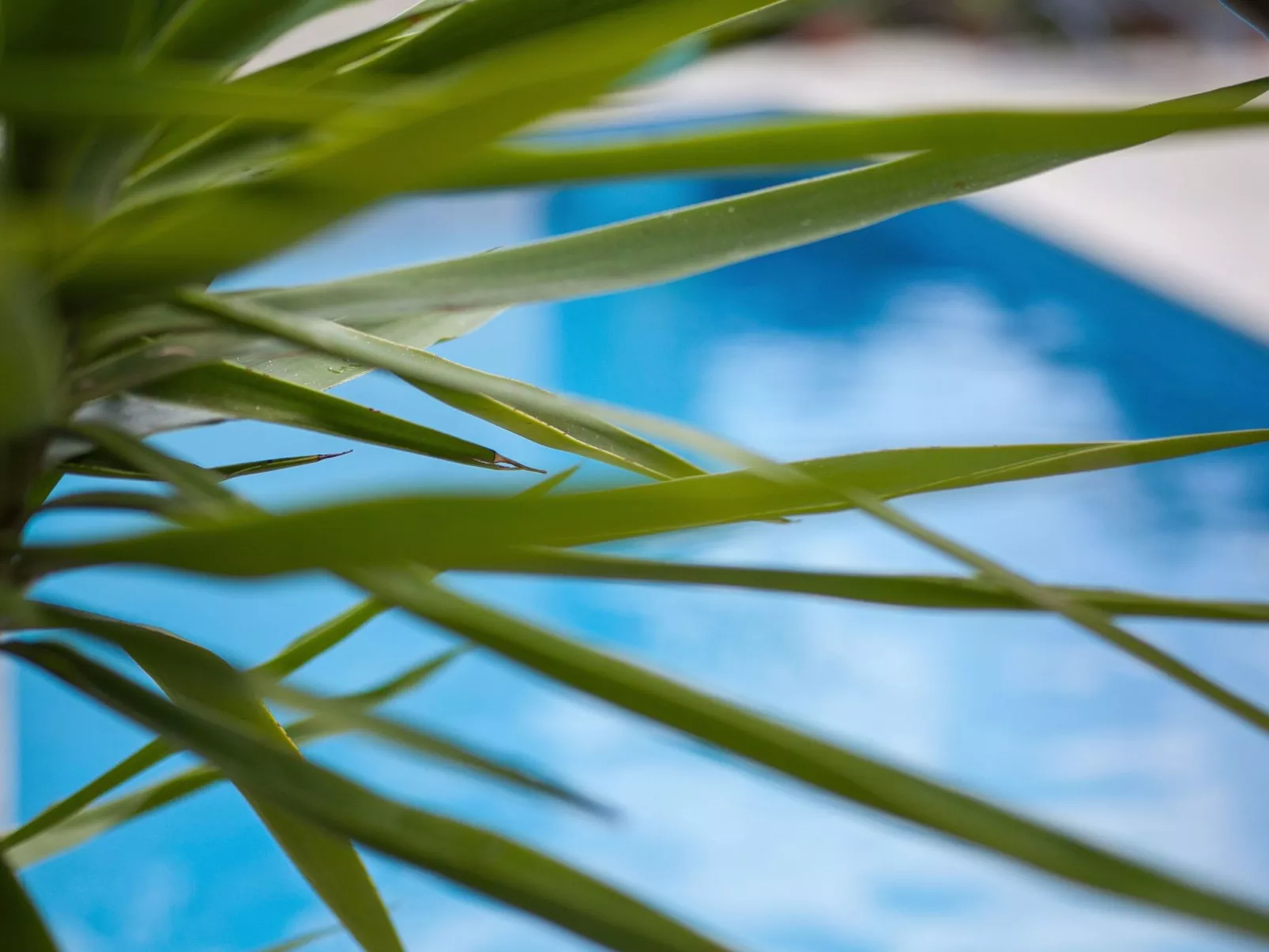 Kulturerbe-Villa-Outside