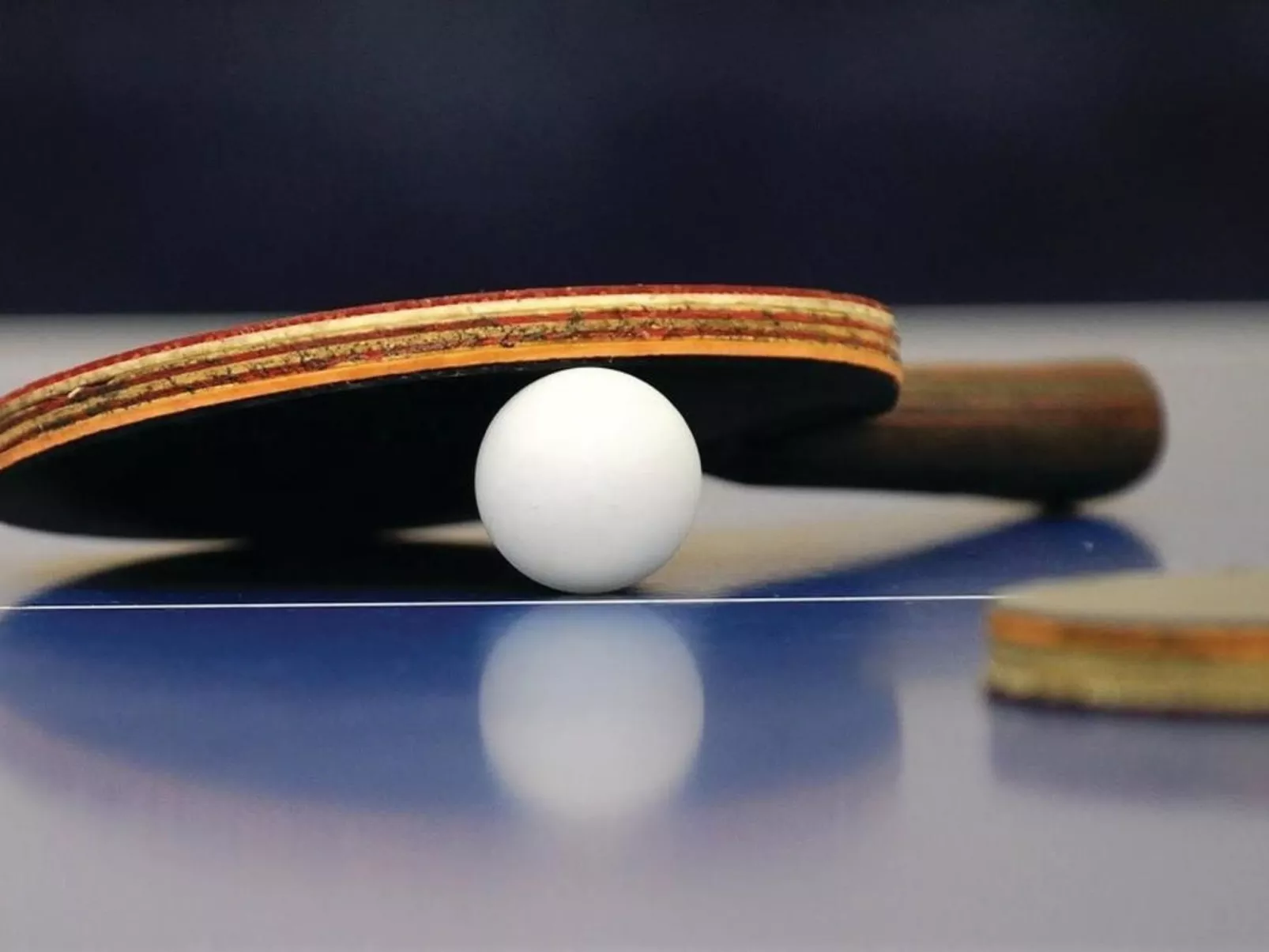 Villa "Magnolia" mit Schwimmbad, Sauna und Jacuzzi-Dedans