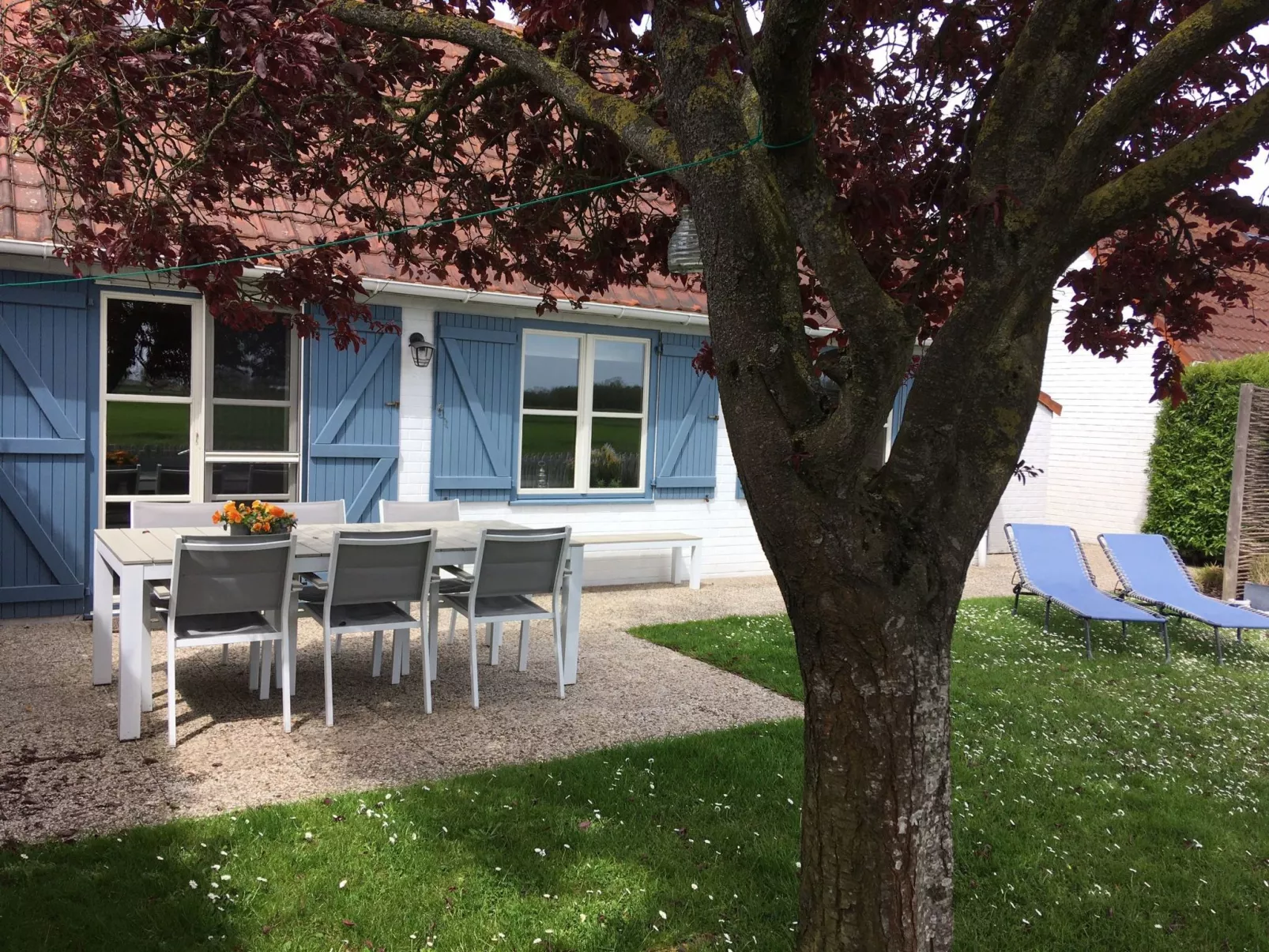 Polderwind mit Blick auf die Felder - Dehors