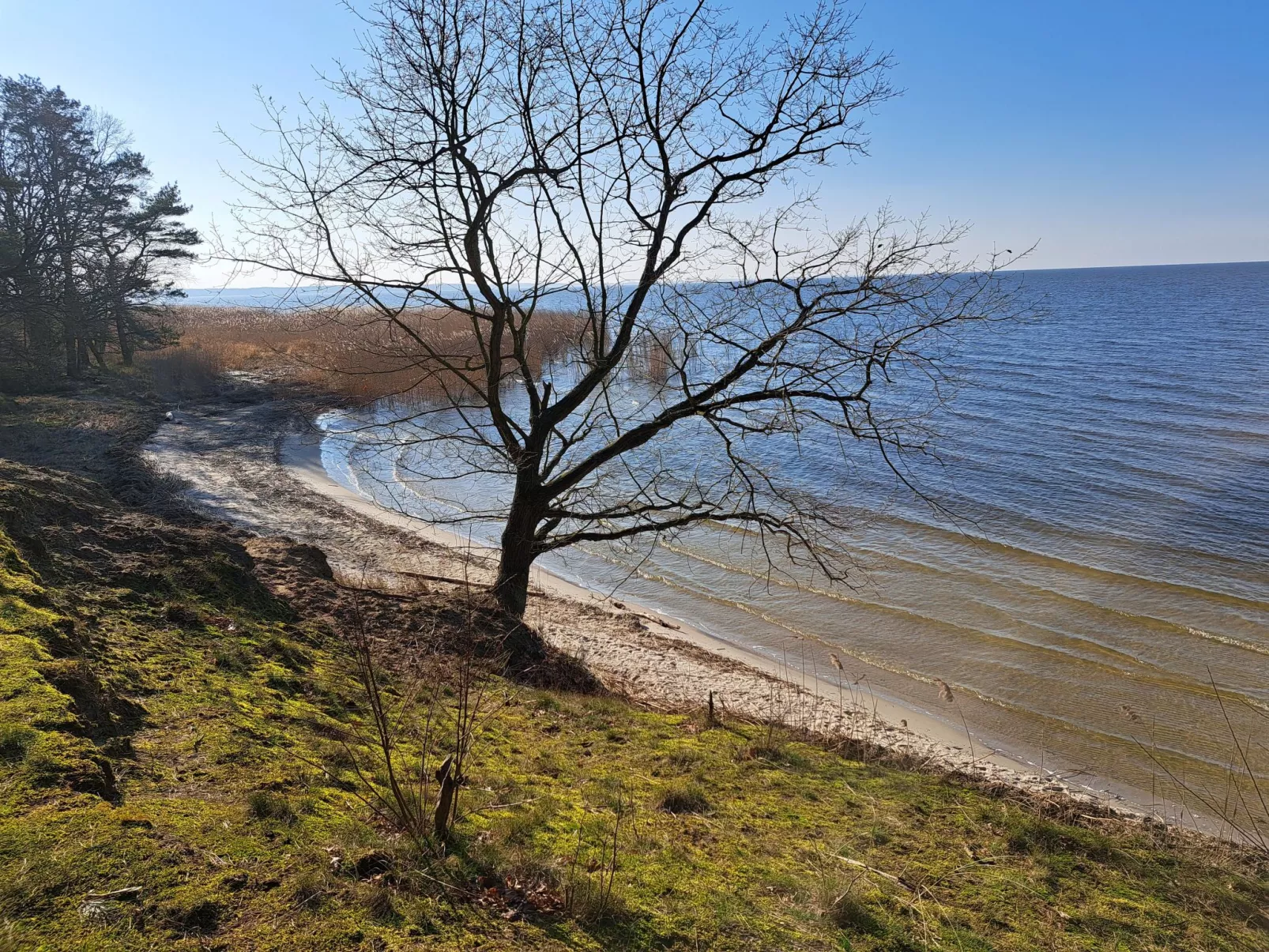 Mit Terrasse mitten im Grünen-Dehors
