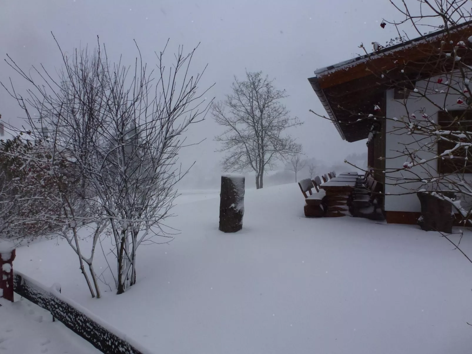 Mit Blick auf die Berge-Draußen