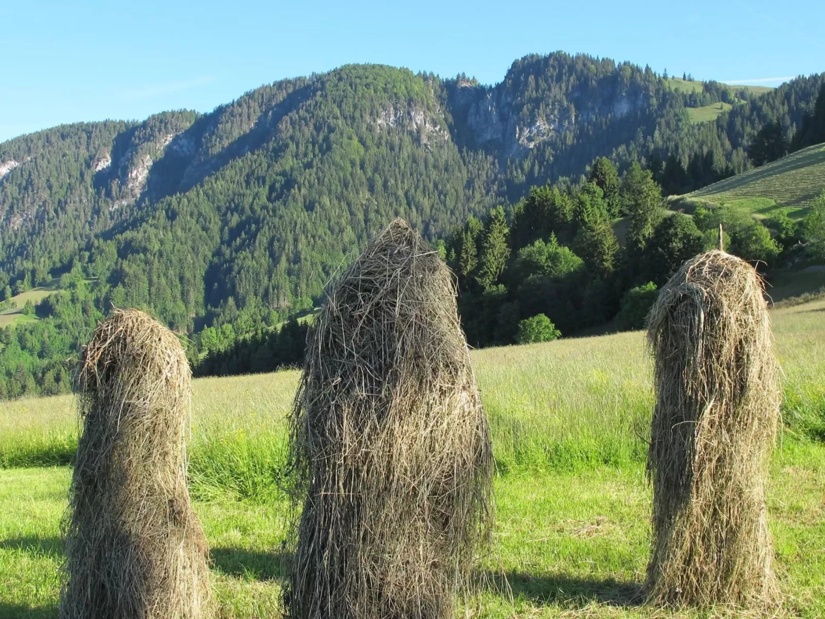 Fewo Bergblick-Draußen