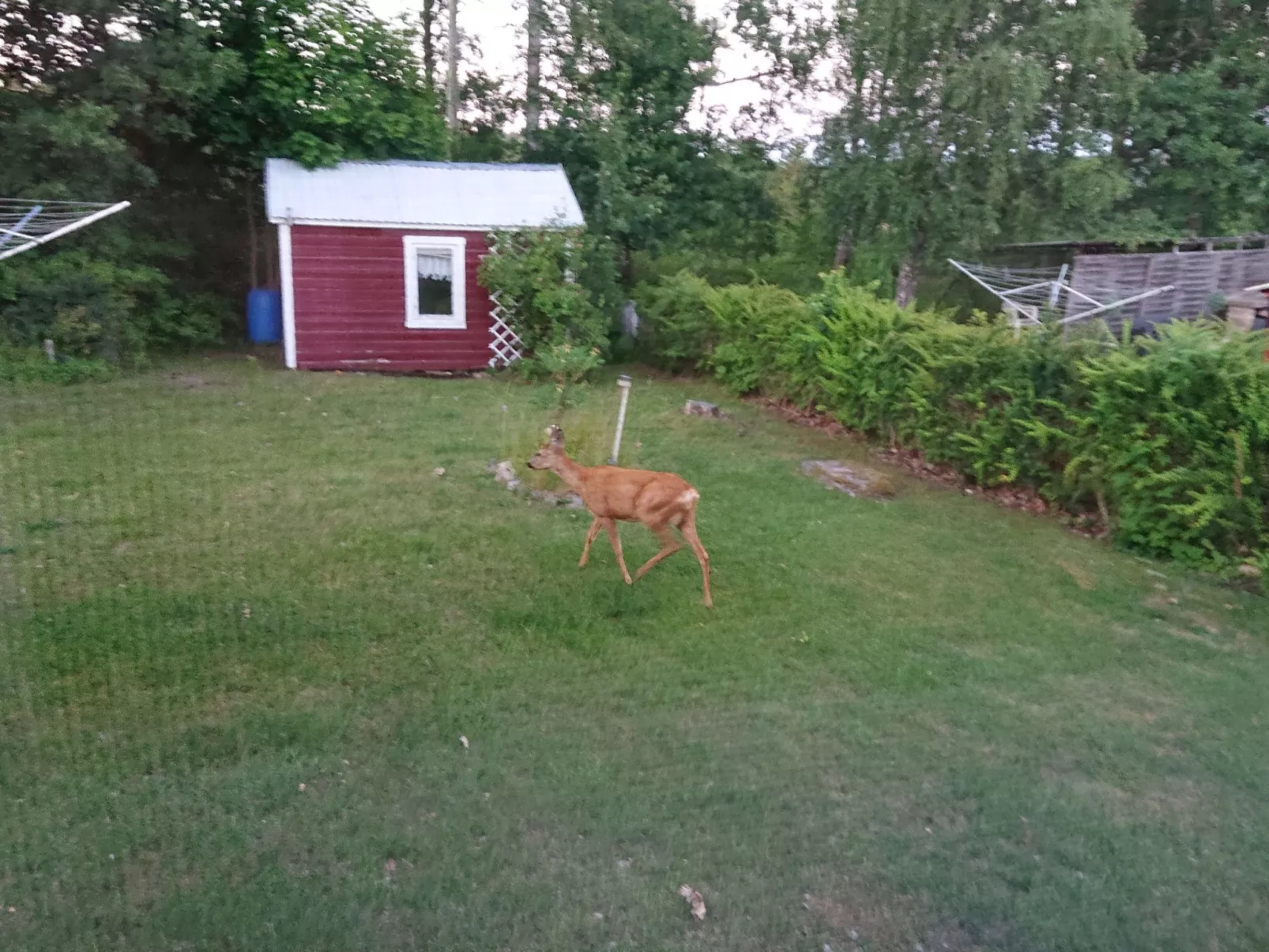 Familienfreundliches Ferienhaus mit großem Garten-Dehors