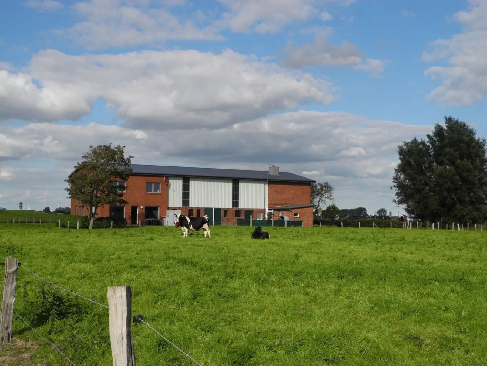 Geräumiges Ferienhaus mit Garten und Weitblick-Dehors