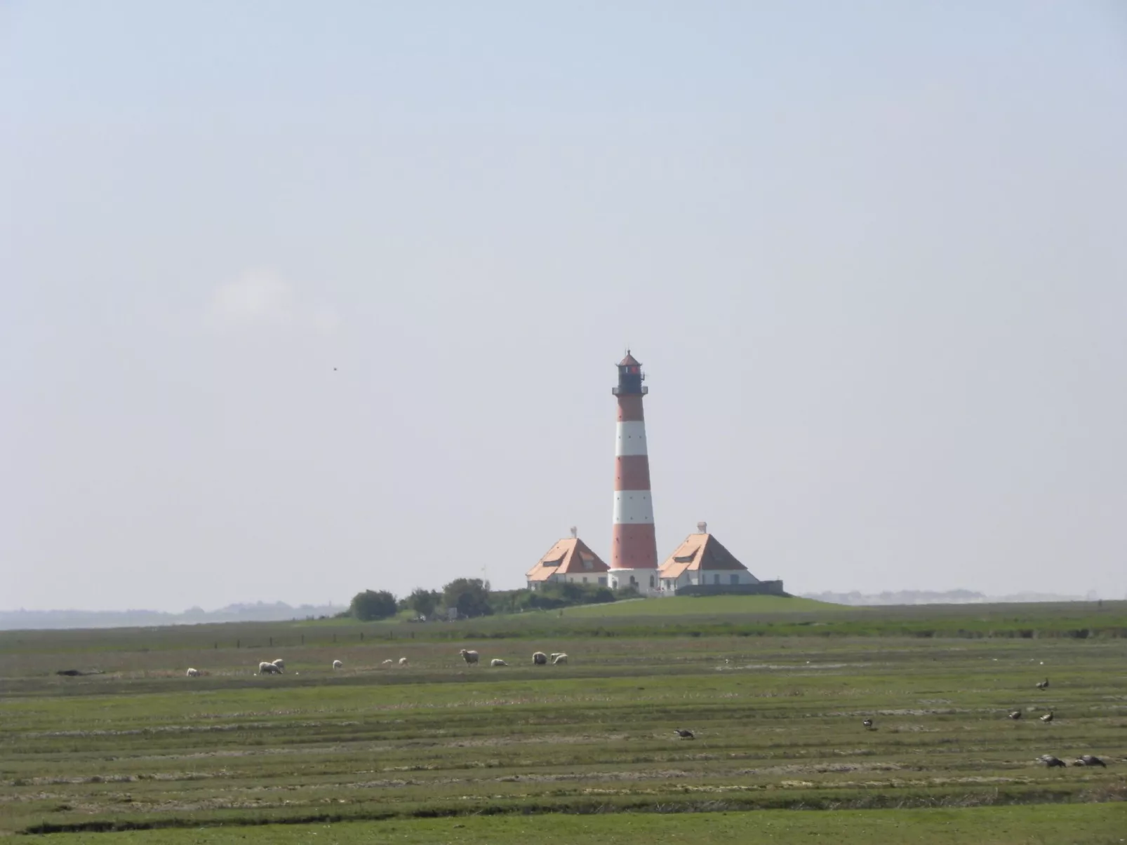 FeWo Austernfischer-Drinnen