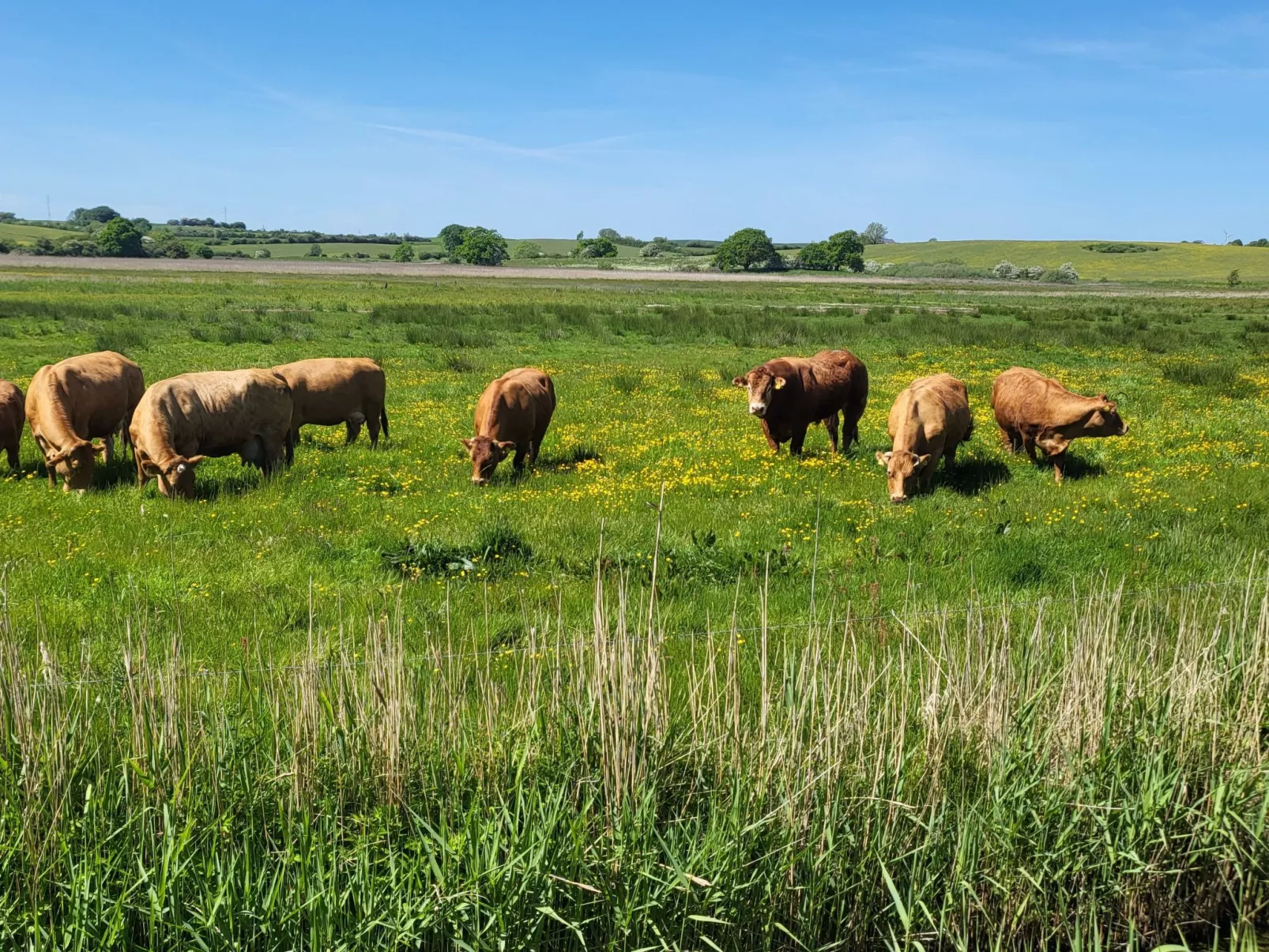 Modernes, geräumiges Haus mit großer Terrasse-Dehors