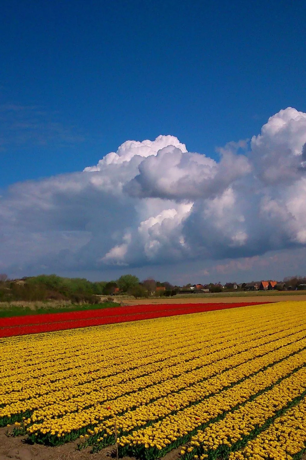 Sommerhaus in ruhiger Lage mit privatem Garten und Terrasse-Drinnen