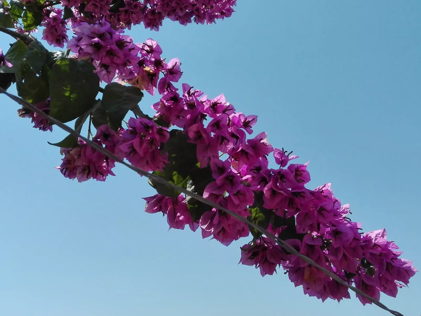Wohnung mit Balkon und Meerblick-Drinnen