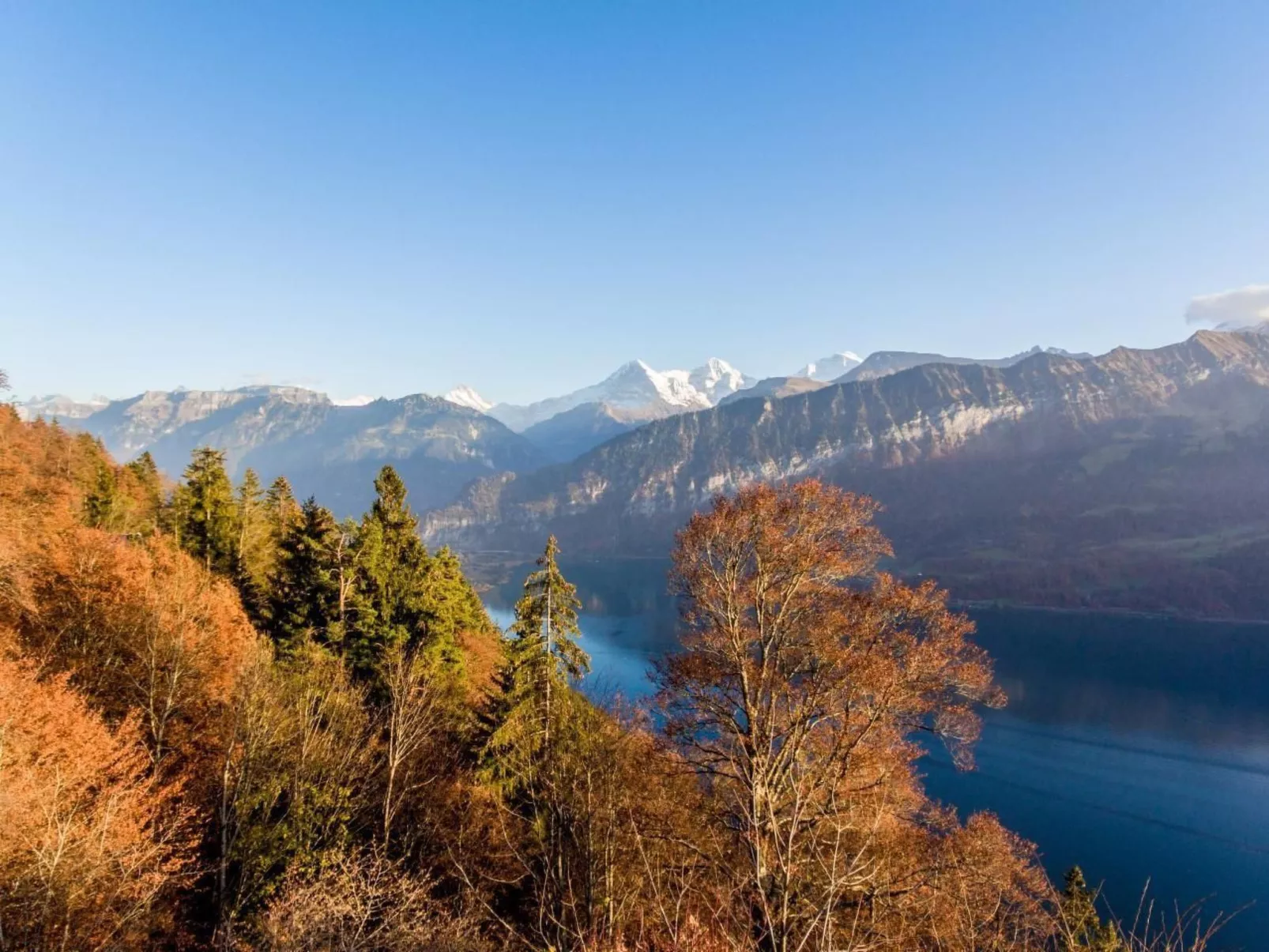 Apartment Enzian mit Mitbenutzung SPA & Wellness-Outside