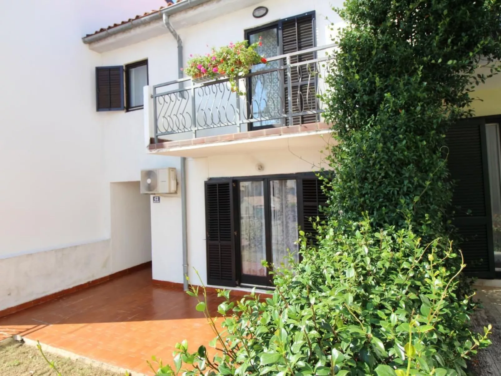 Palma-Image-tags.info