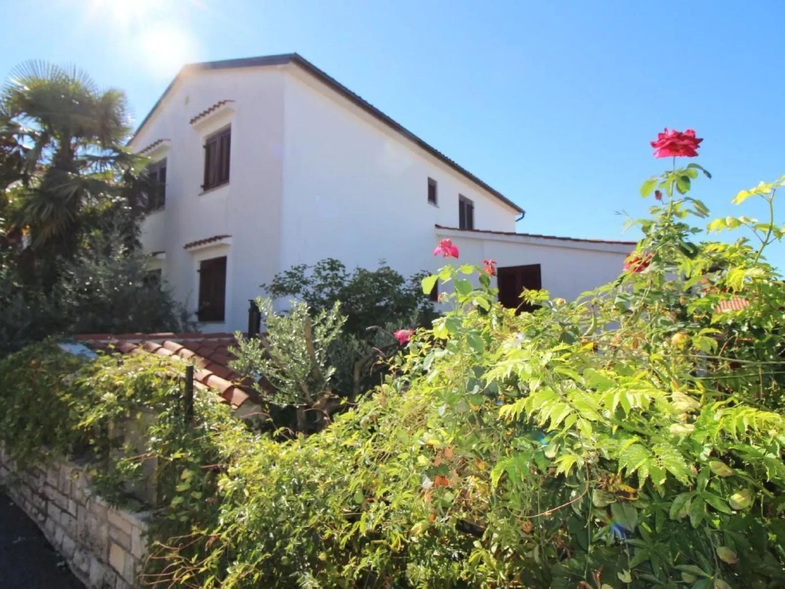 Leticija-Image-tags.info