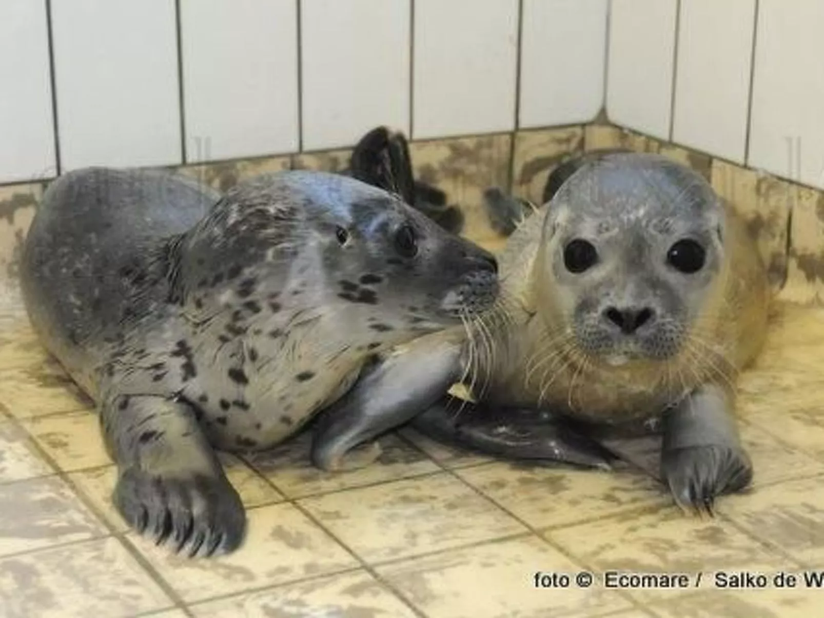Gemütliches Ferienhaus De Blenck-Inside