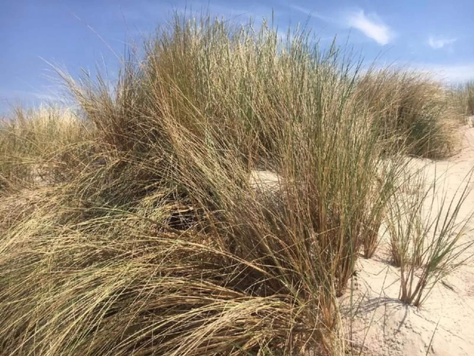 "Apartment 18B" mit Schwimmbad-Inside