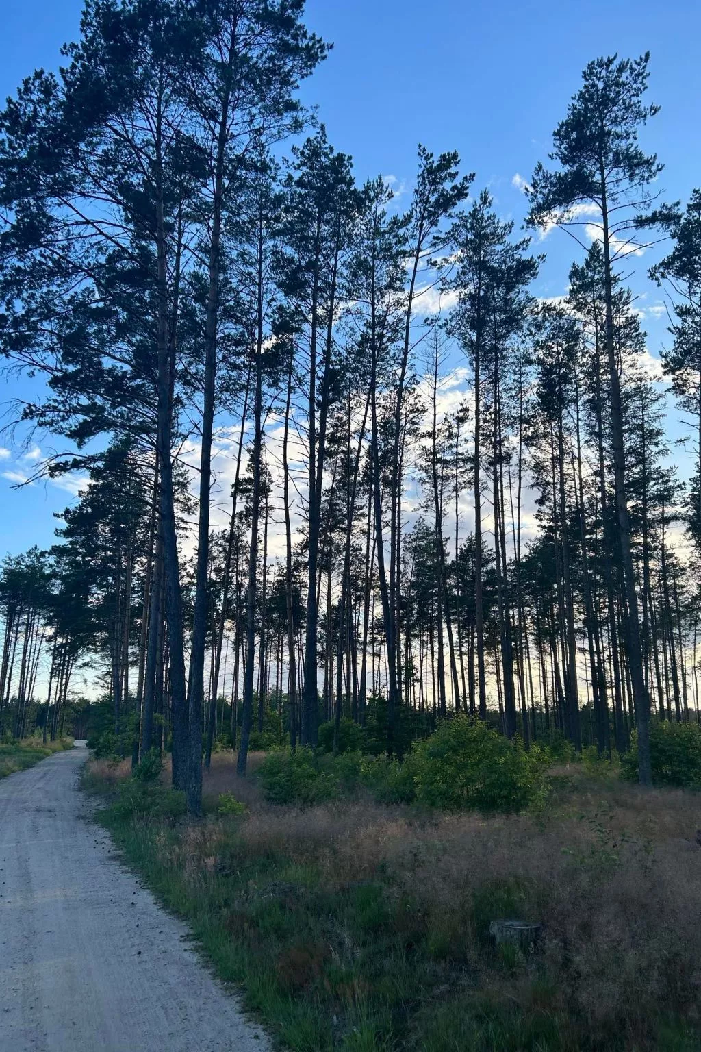 Sommerhaus in Ostrowite-Draußen