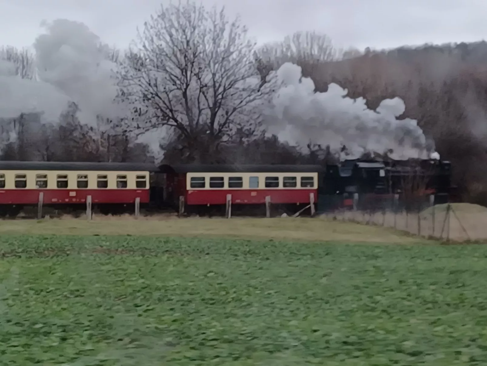 Burgi EG Hahnenklee-Dehors