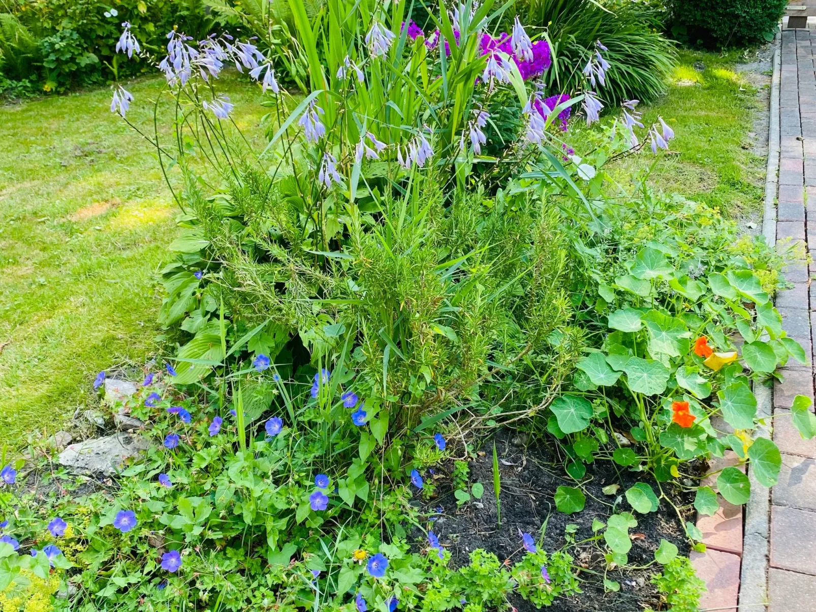 Kleines Gretchen-Outside