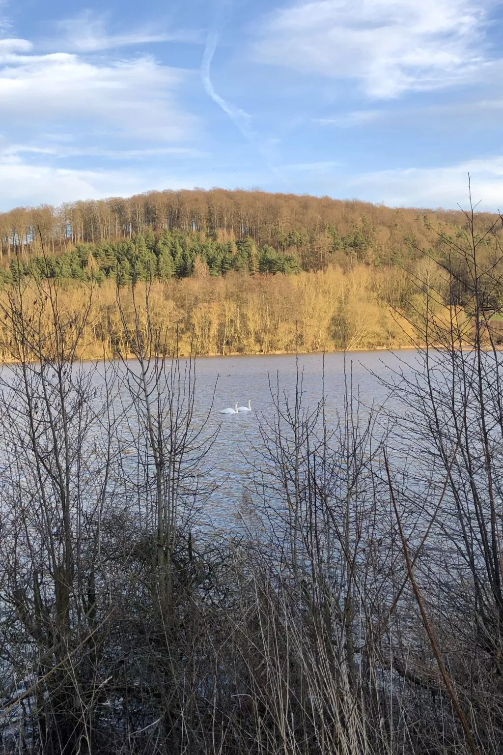 Wunderschönes Ferienhaus am Waldrand-Inside