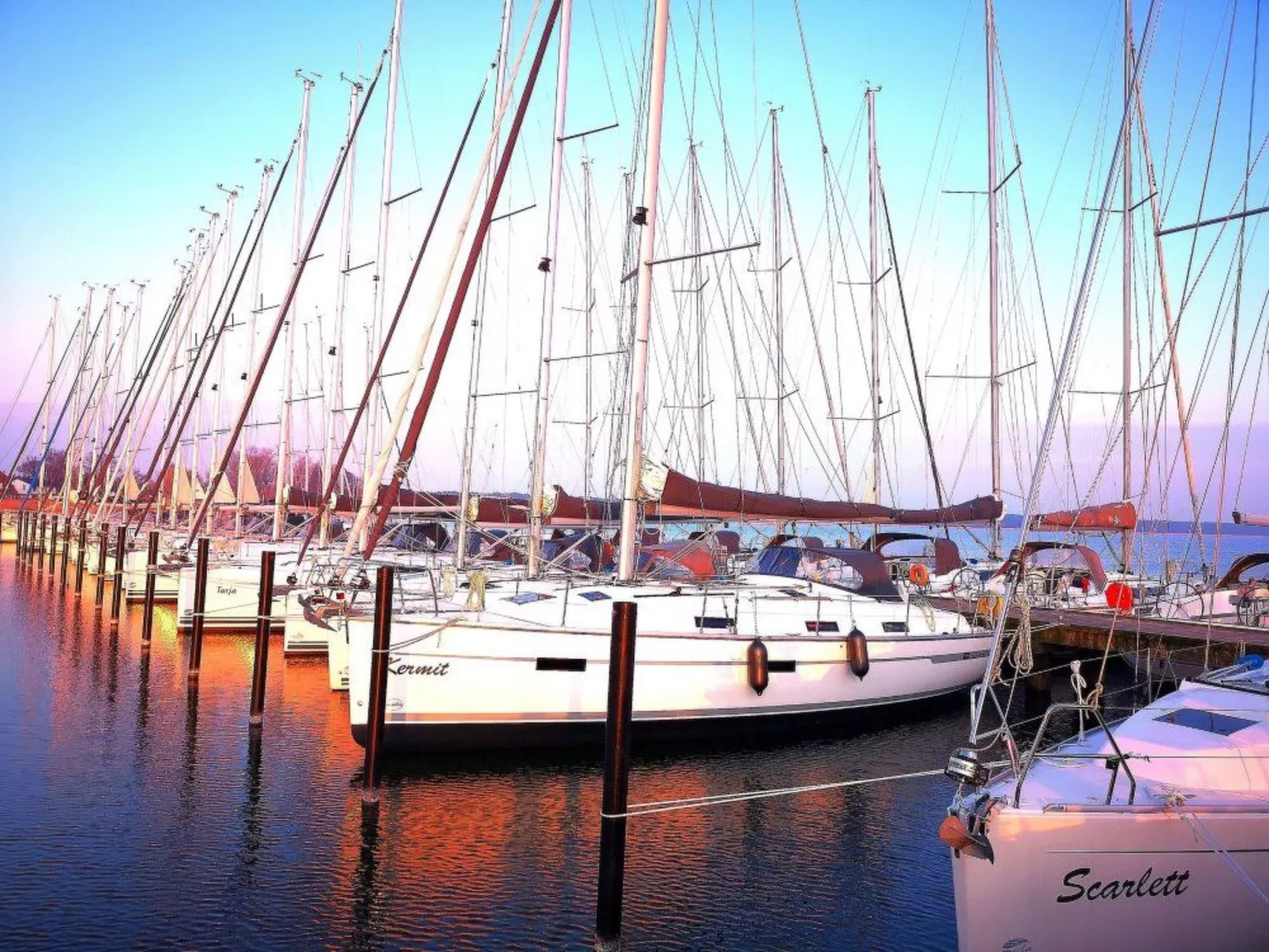 Reethaus Deichgraf-Dehors